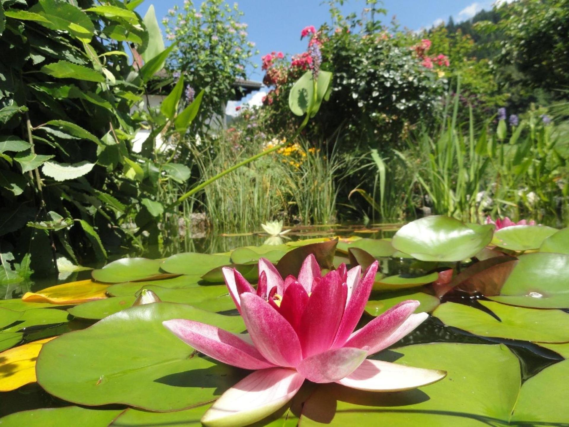 Ferienwohnung Cosmea In Millstatt