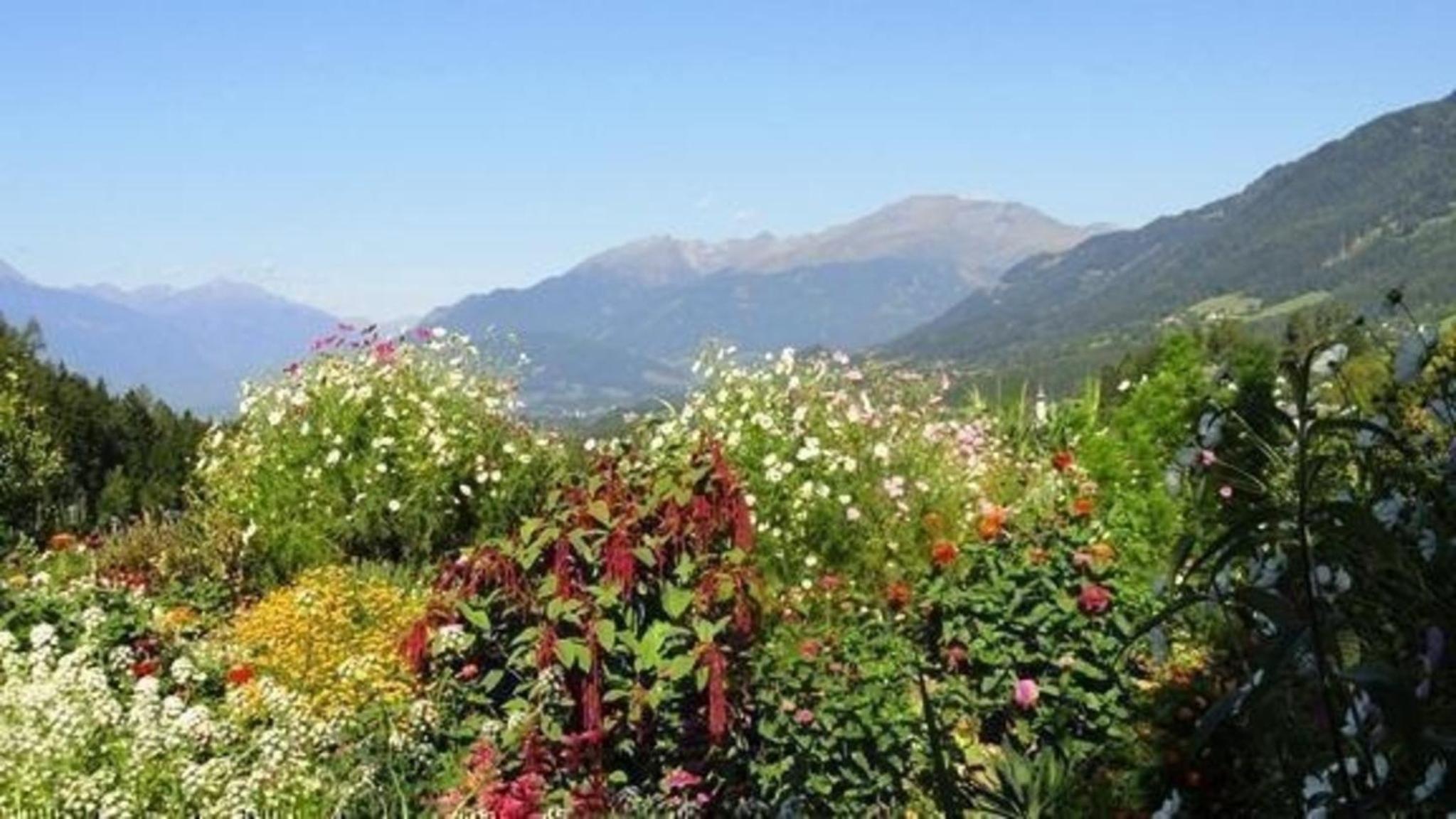 Ferienwohnung Cosmea In Millstatt