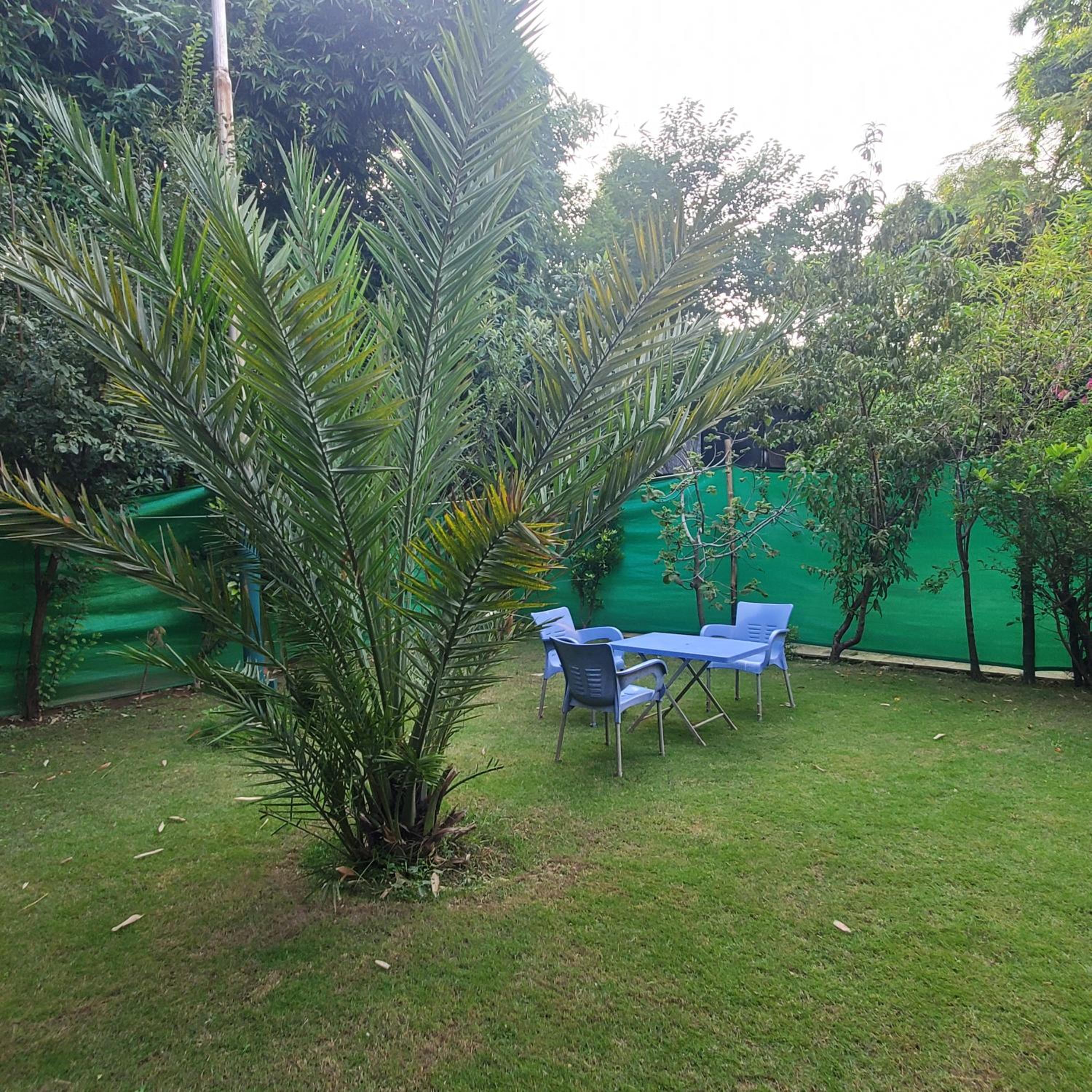 Private Apartment F-8