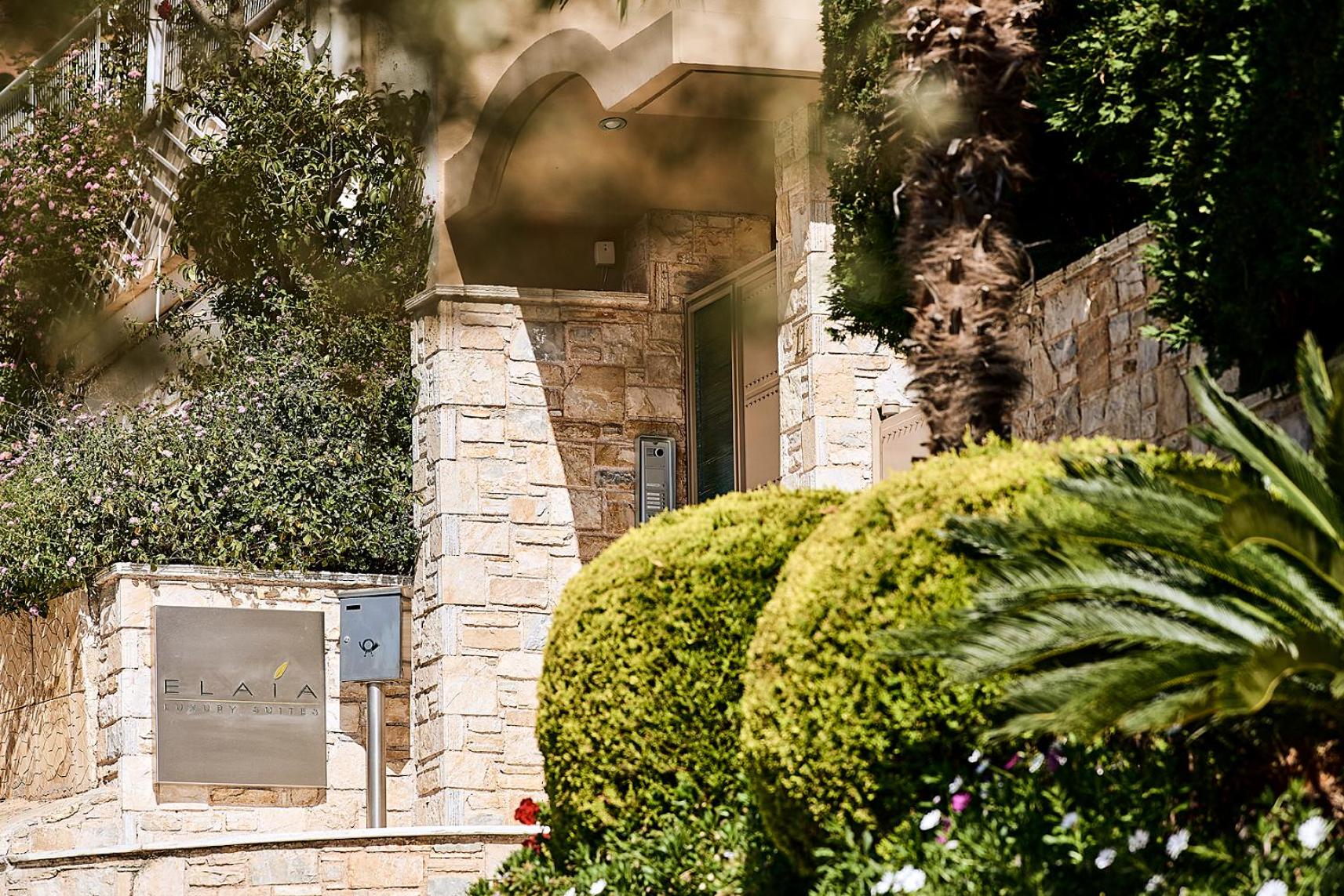 Crystal Green Properties