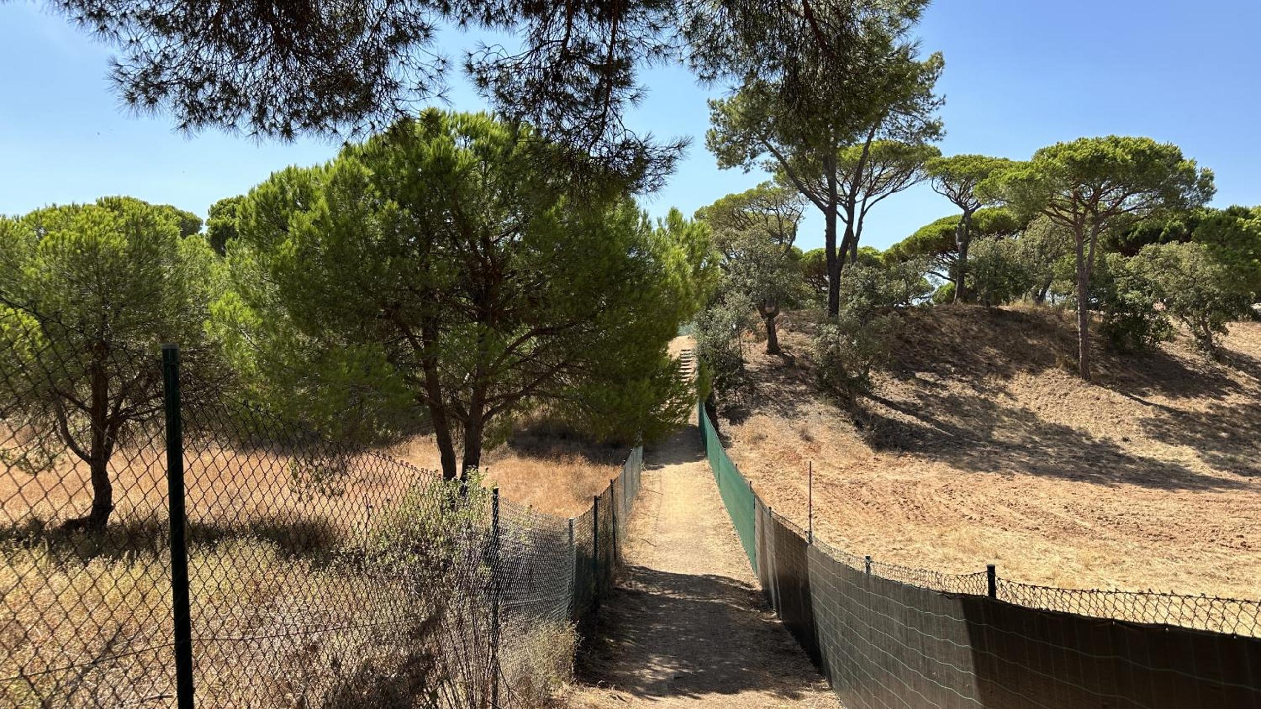Pine Cliffs - Shared Pool - 8 Guests - Albufeira