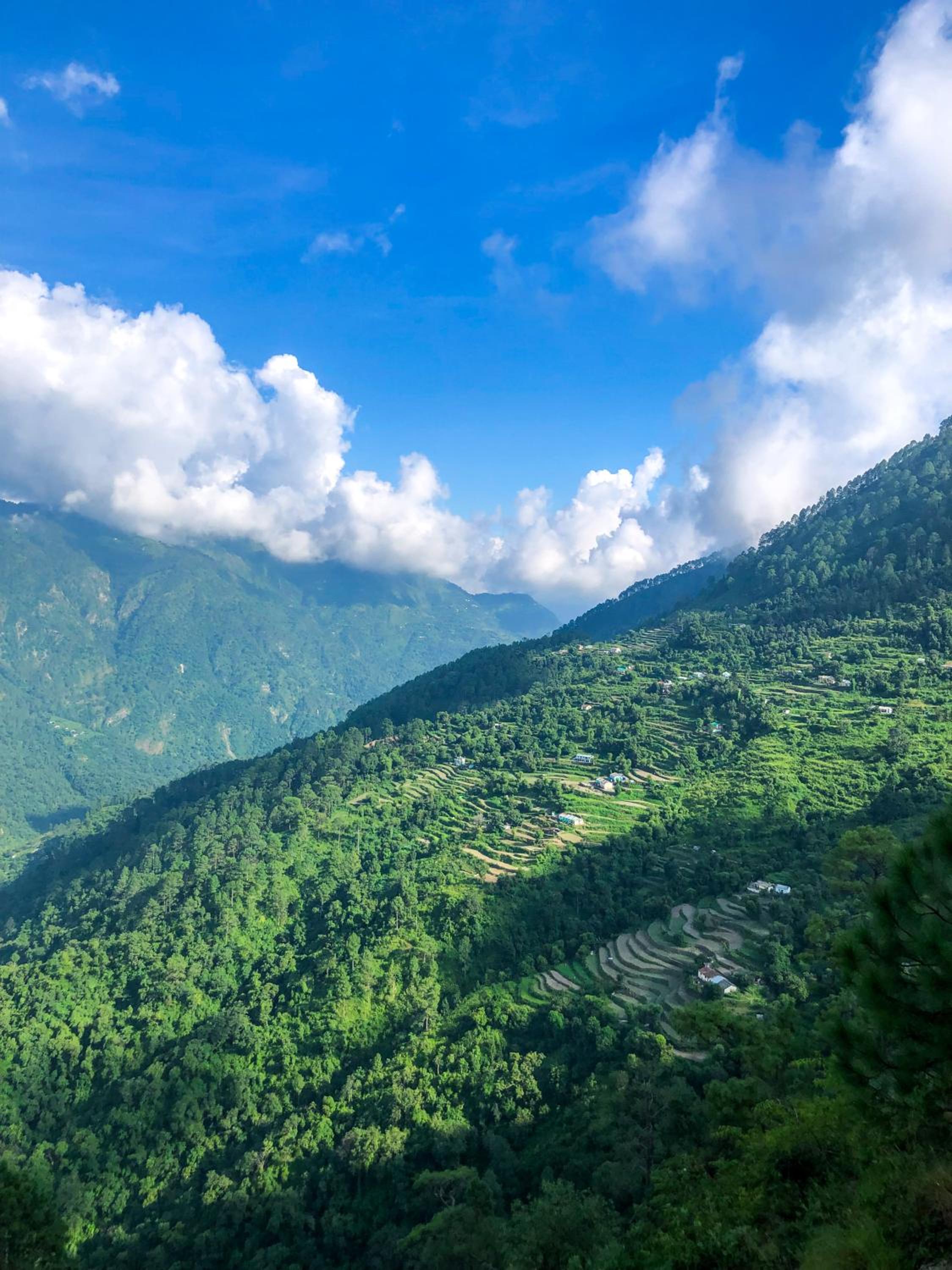 Dug Dug Camps, Bhimtal