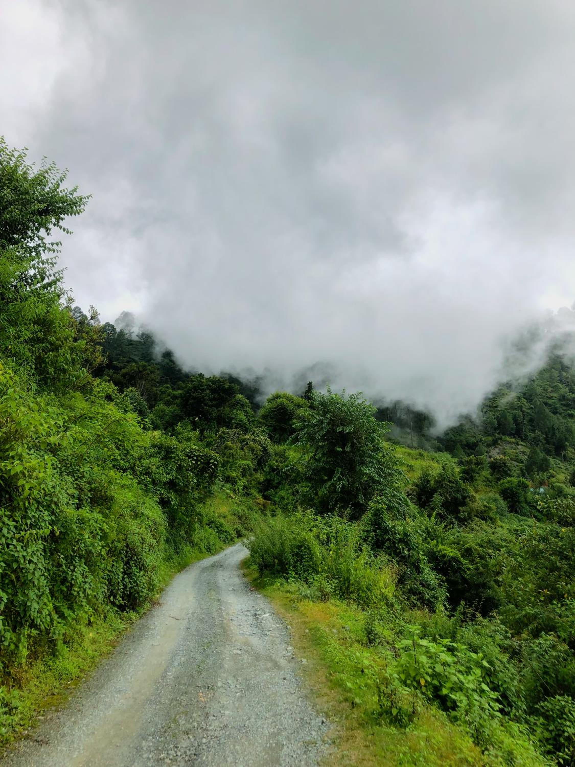 Dug Dug Camps, Bhimtal