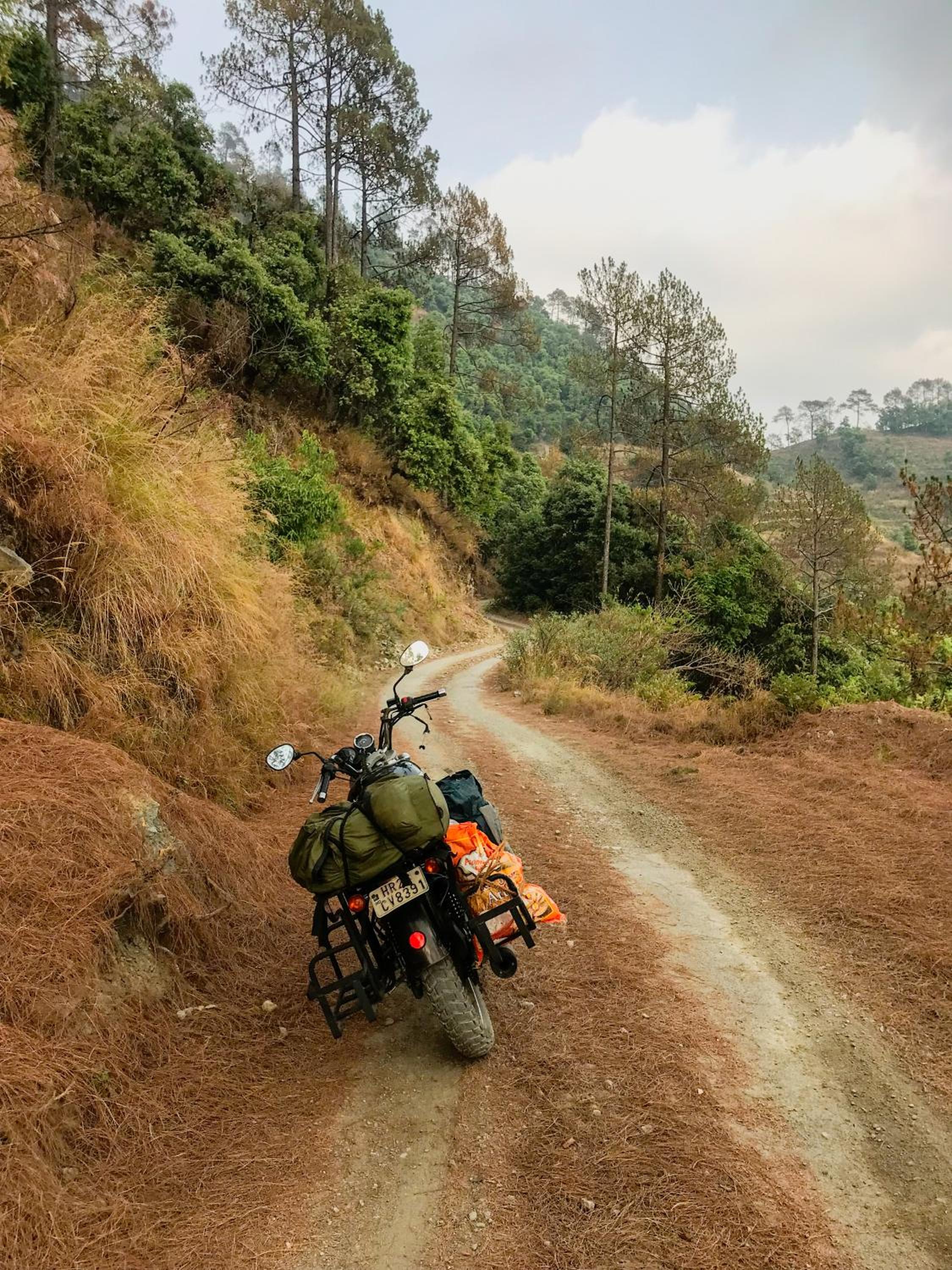 Dug Dug Camps, Bhimtal