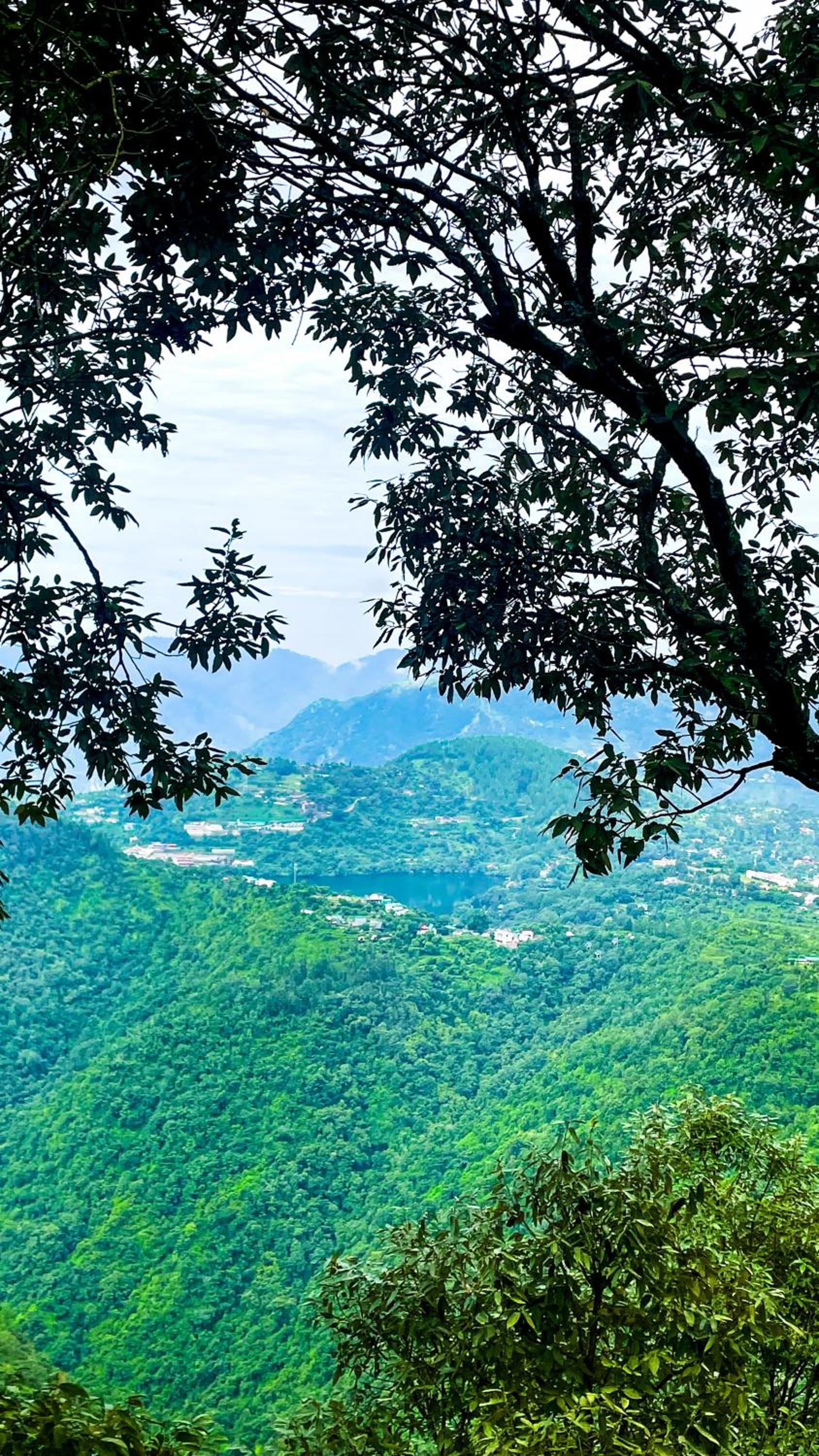 Dug Dug Camps, Bhimtal