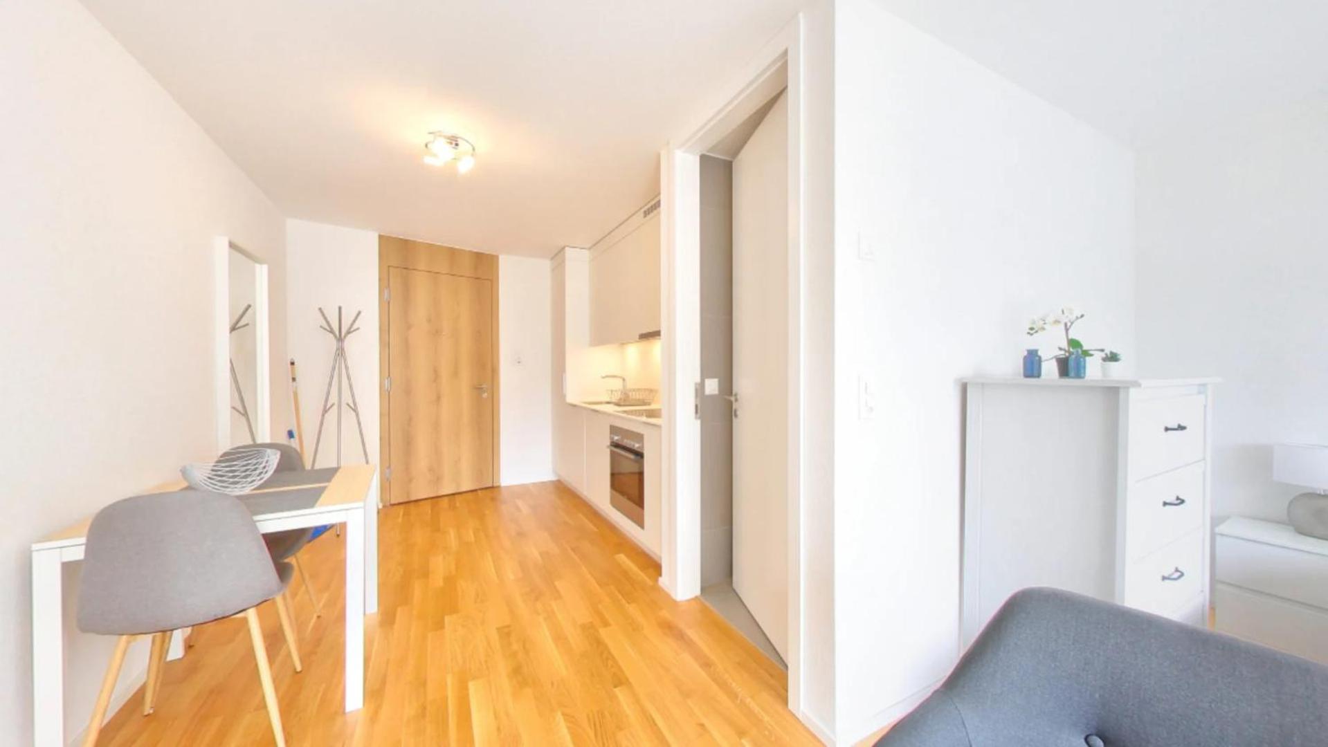 Lausanne City Center Apartments, Minutes Away from the Lake! AM53
