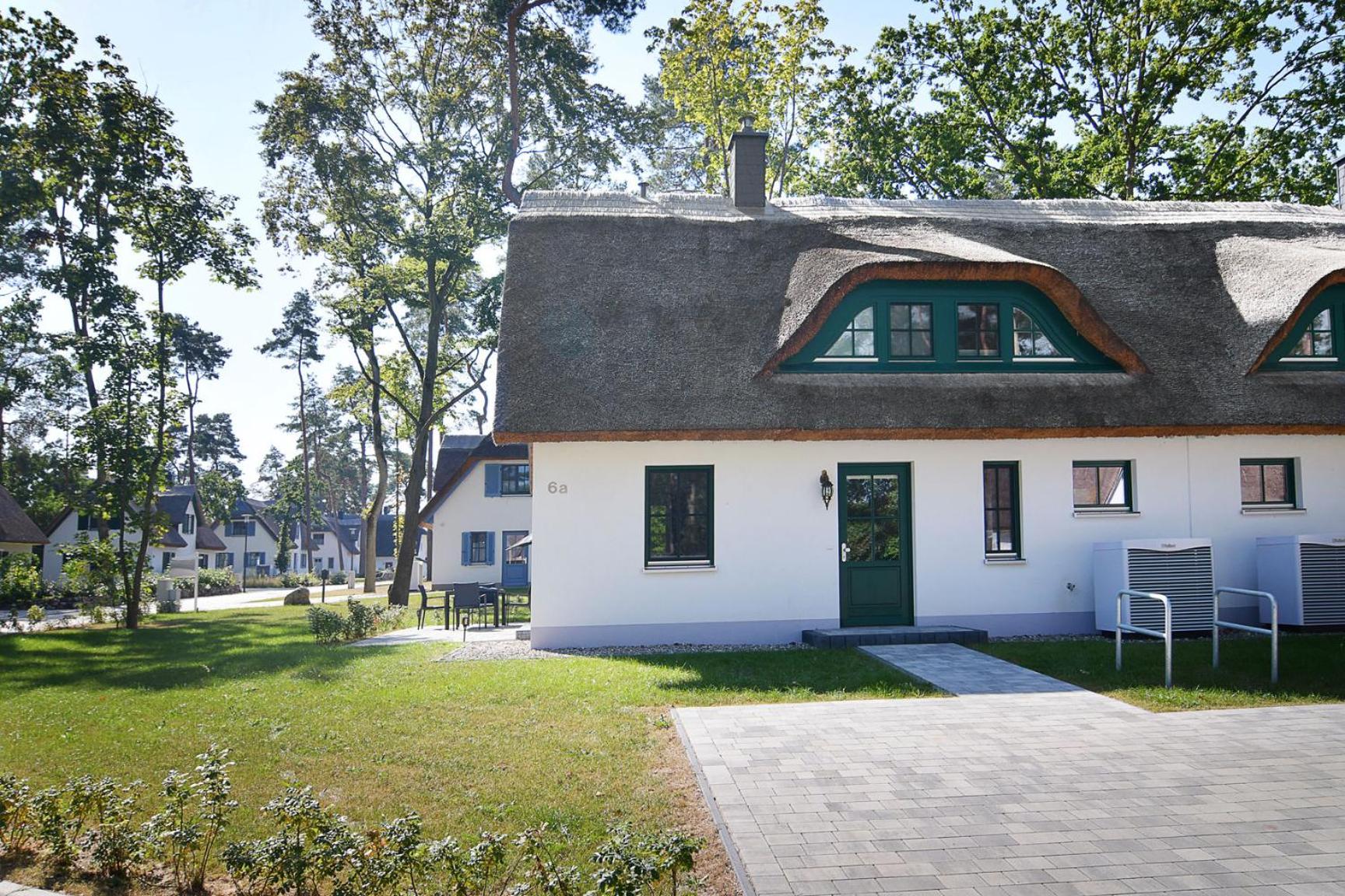 Sandregenpfeifer