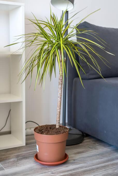 other