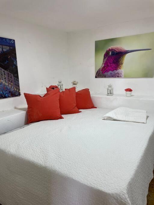 Villa Carmen en Jarabacoa