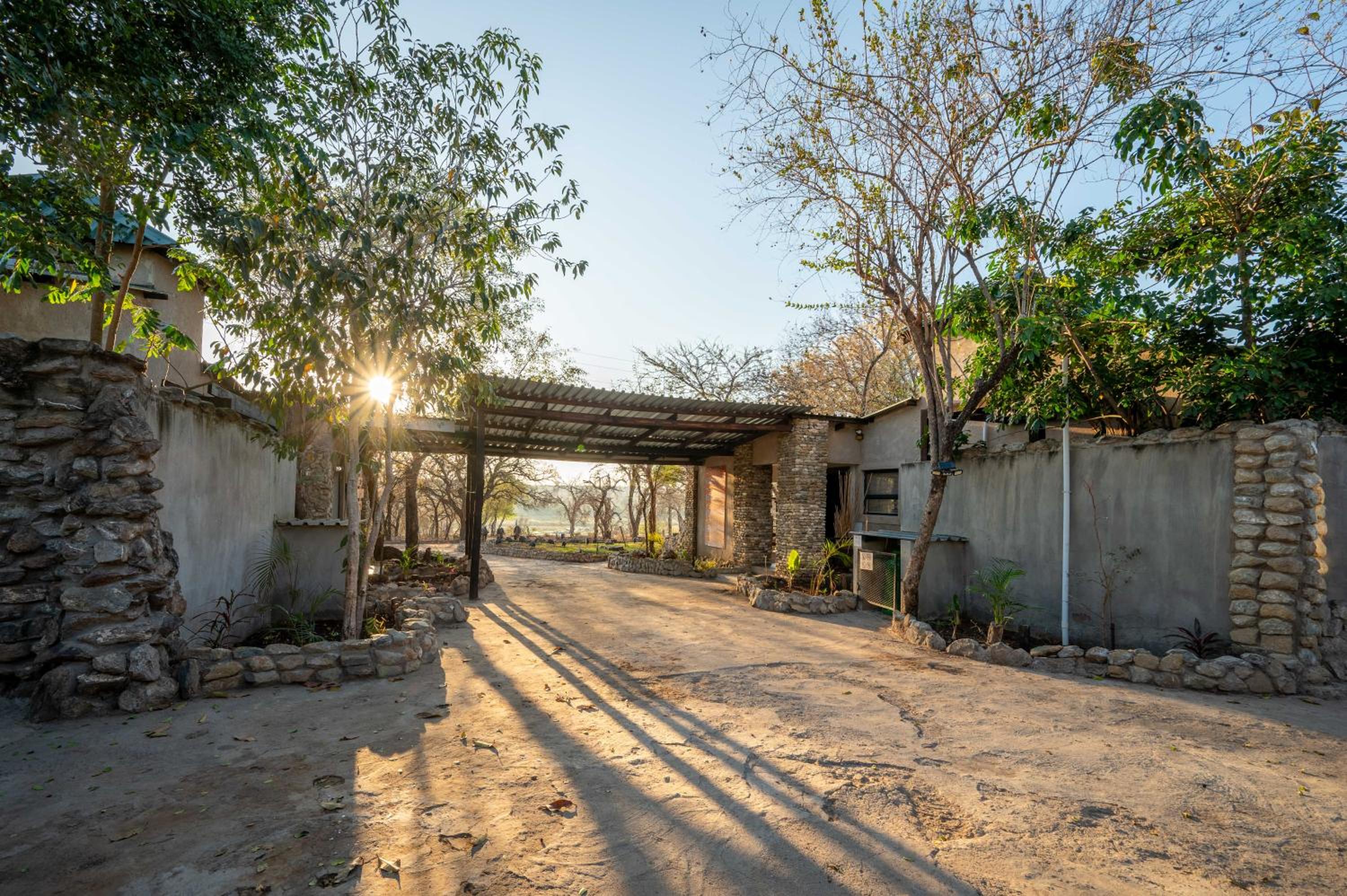 Foxy Crocodile Bush Lodge & Kruger Safaris