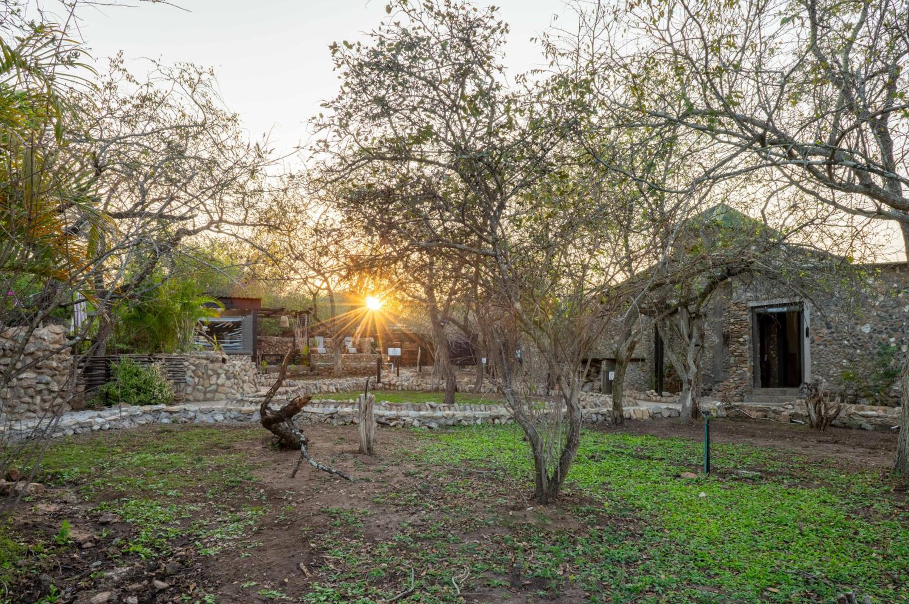 Foxy Crocodile Bush Lodge & Kruger Safaris
