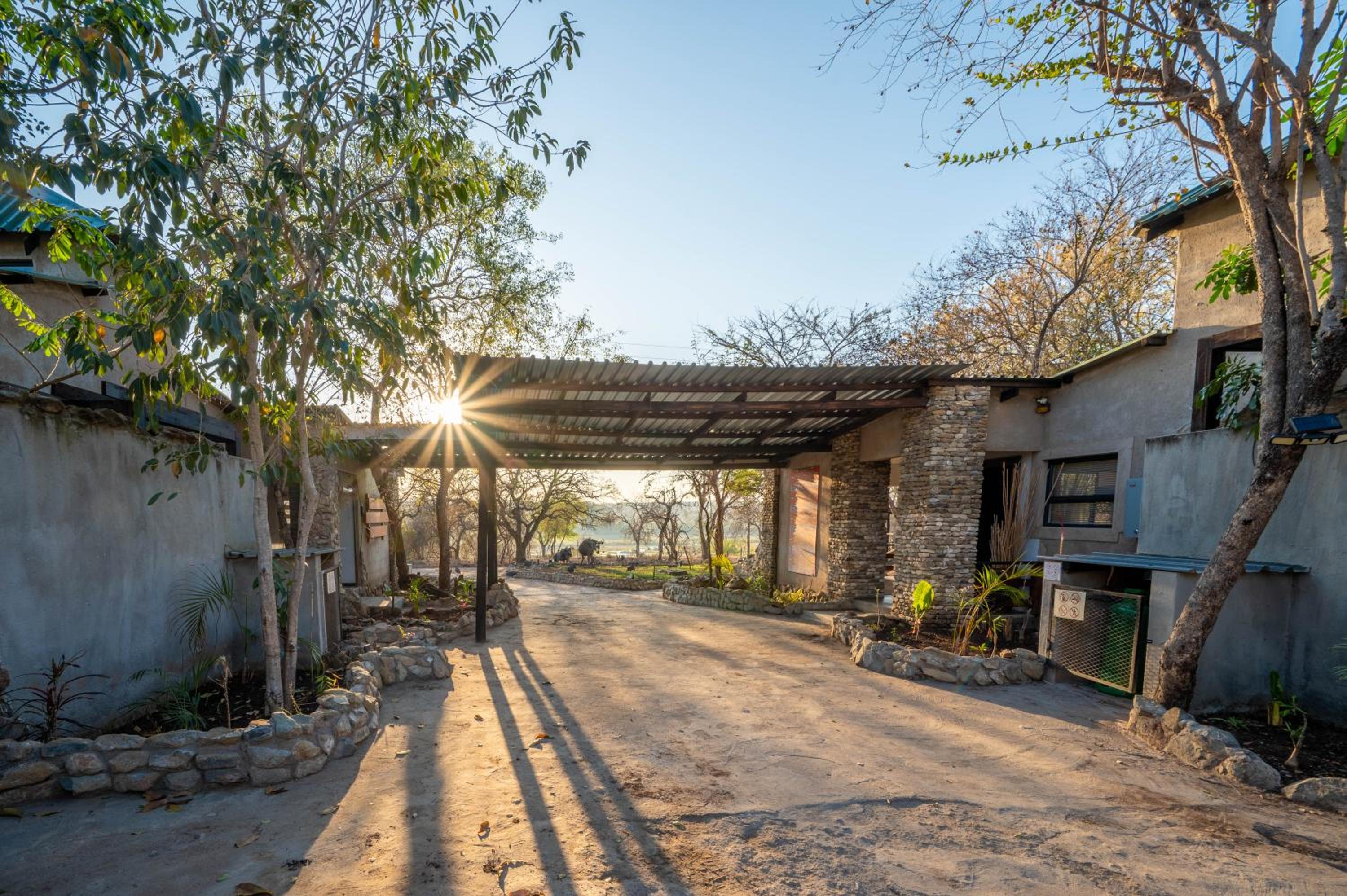 Foxy Crocodile Bush Lodge & Kruger Safaris