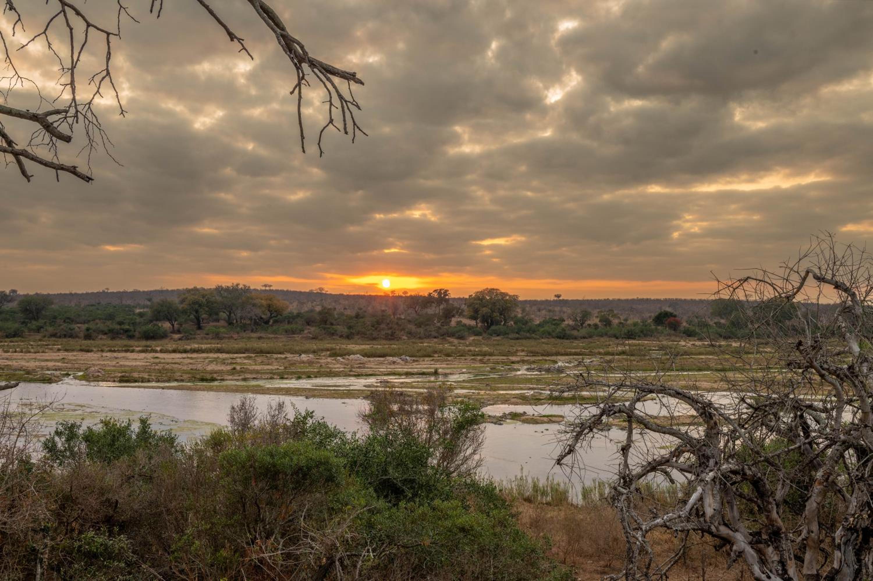 Foxy Crocodile Bush Lodge & Kruger Safaris