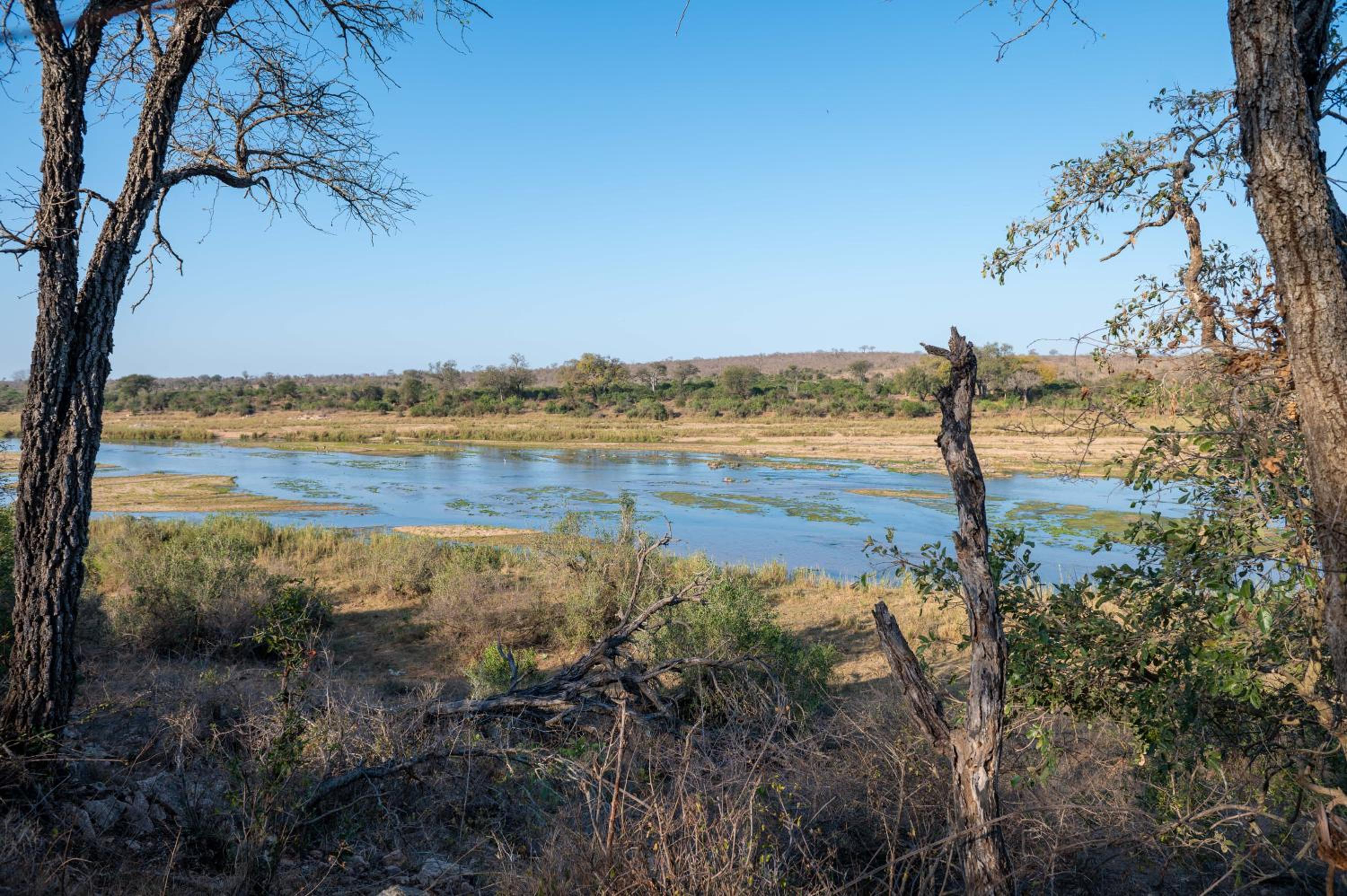 Foxy Crocodile Bush Lodge & Kruger Safaris