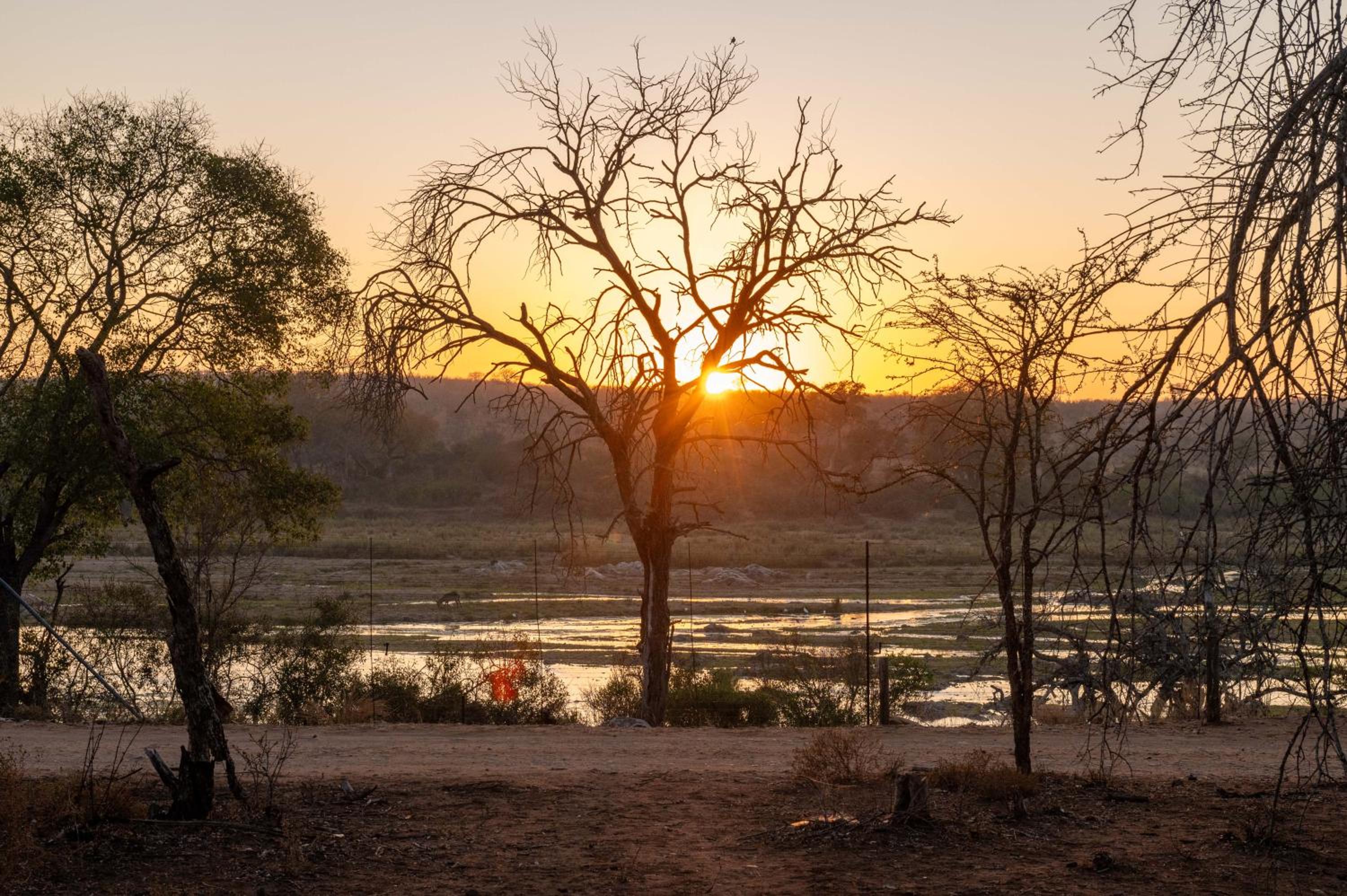 Foxy Crocodile Bush Lodge & Kruger Safaris