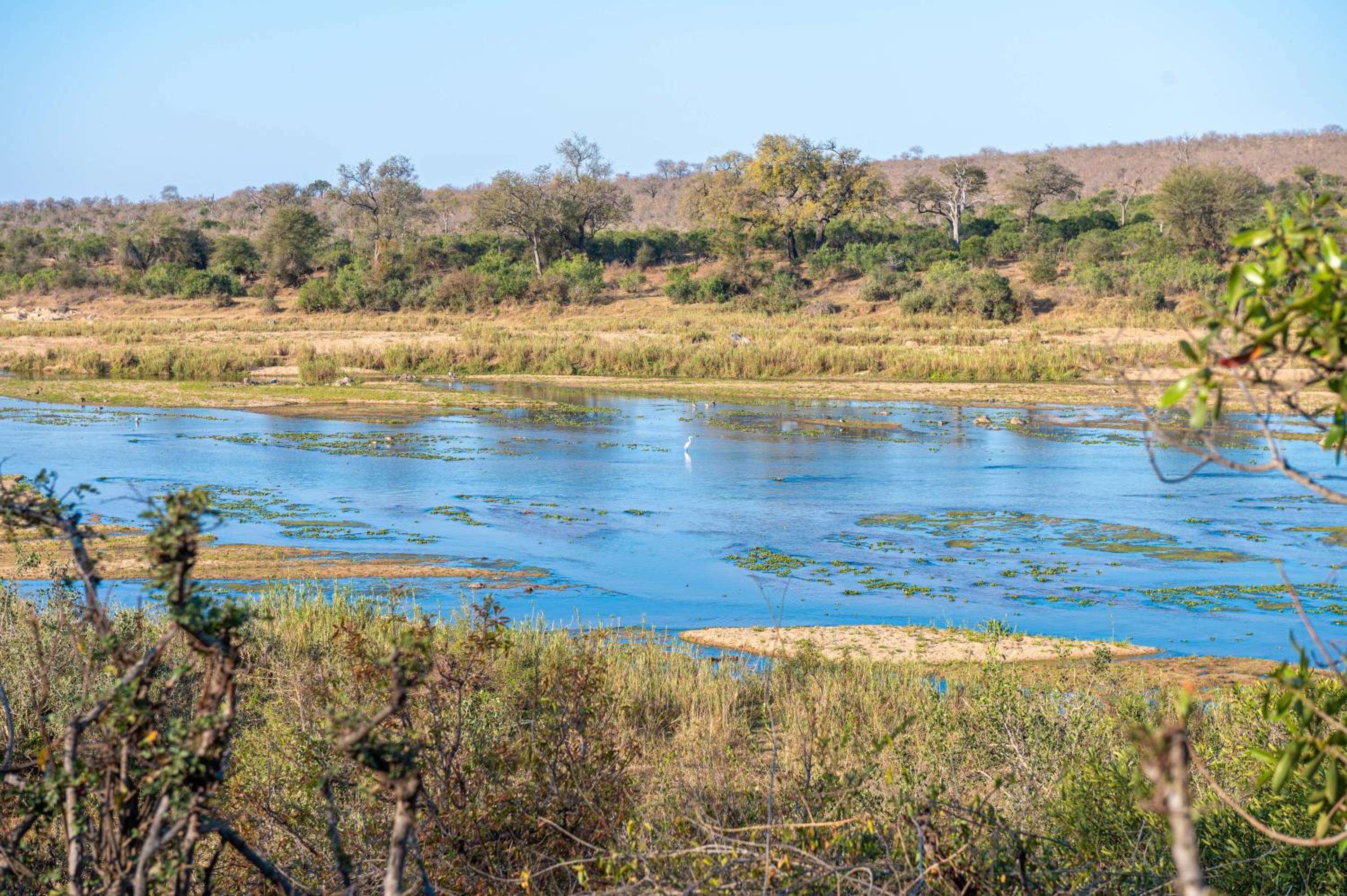 Foxy Crocodile Bush Lodge & Kruger Safaris
