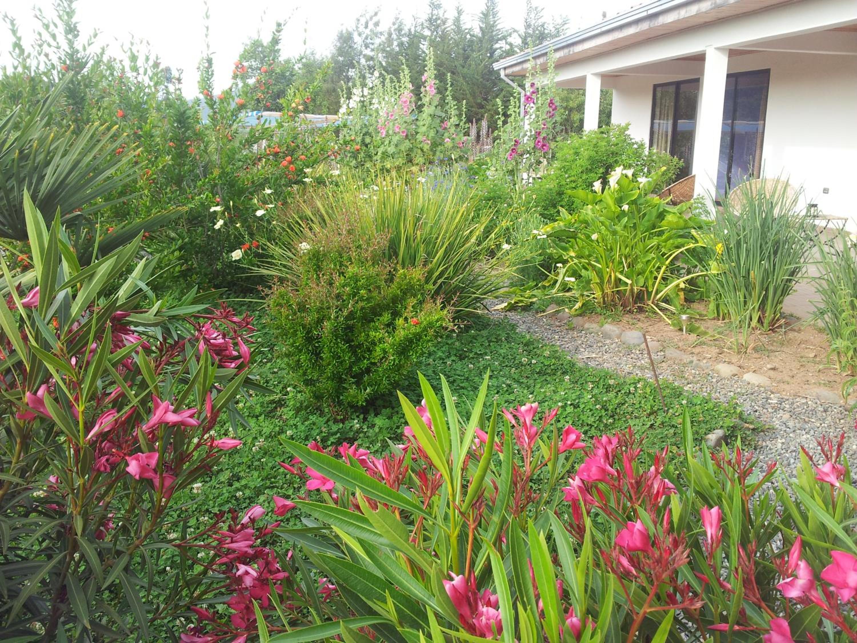 Photo 23