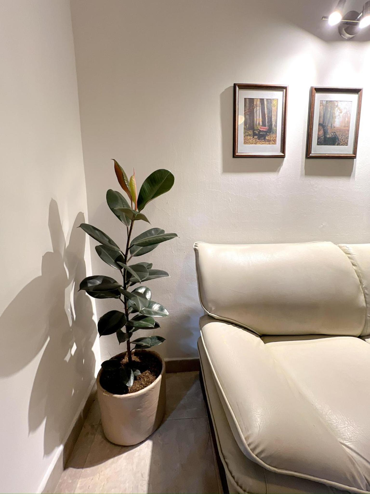 Apartamento 7 PAX centro histórico