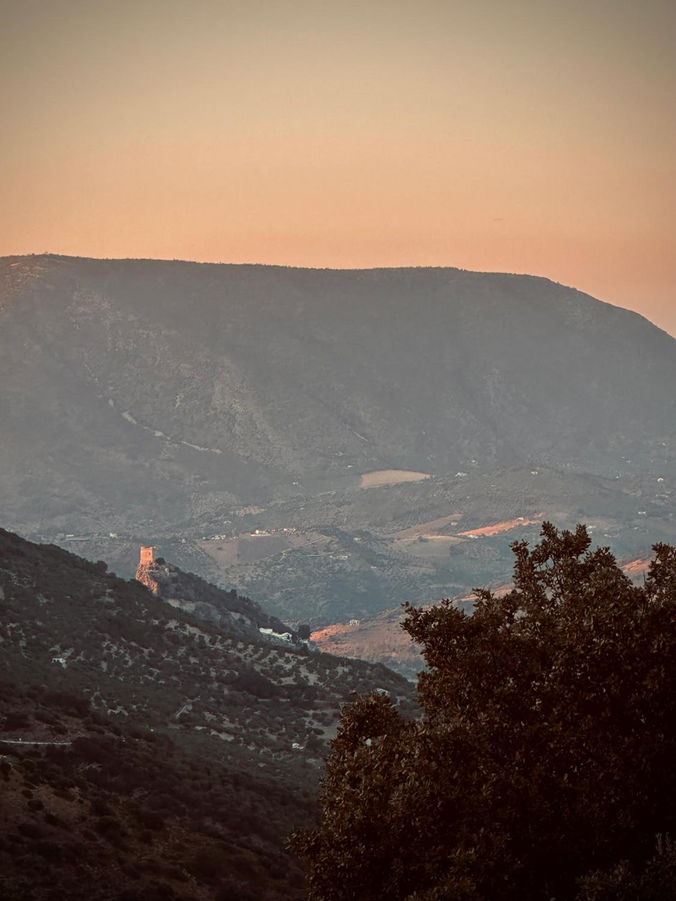 Huerta El Rincón