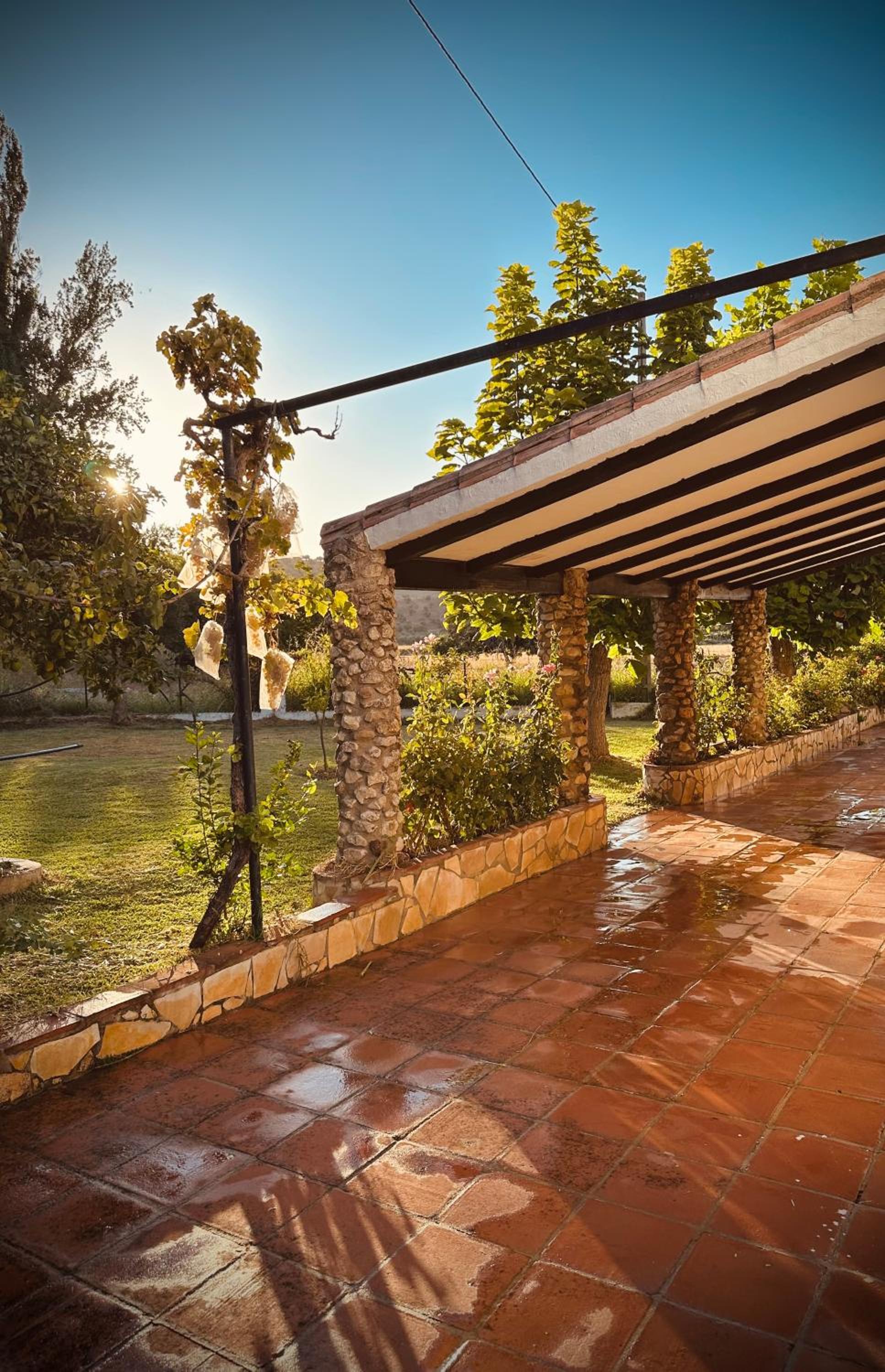 Huerta El Rincón