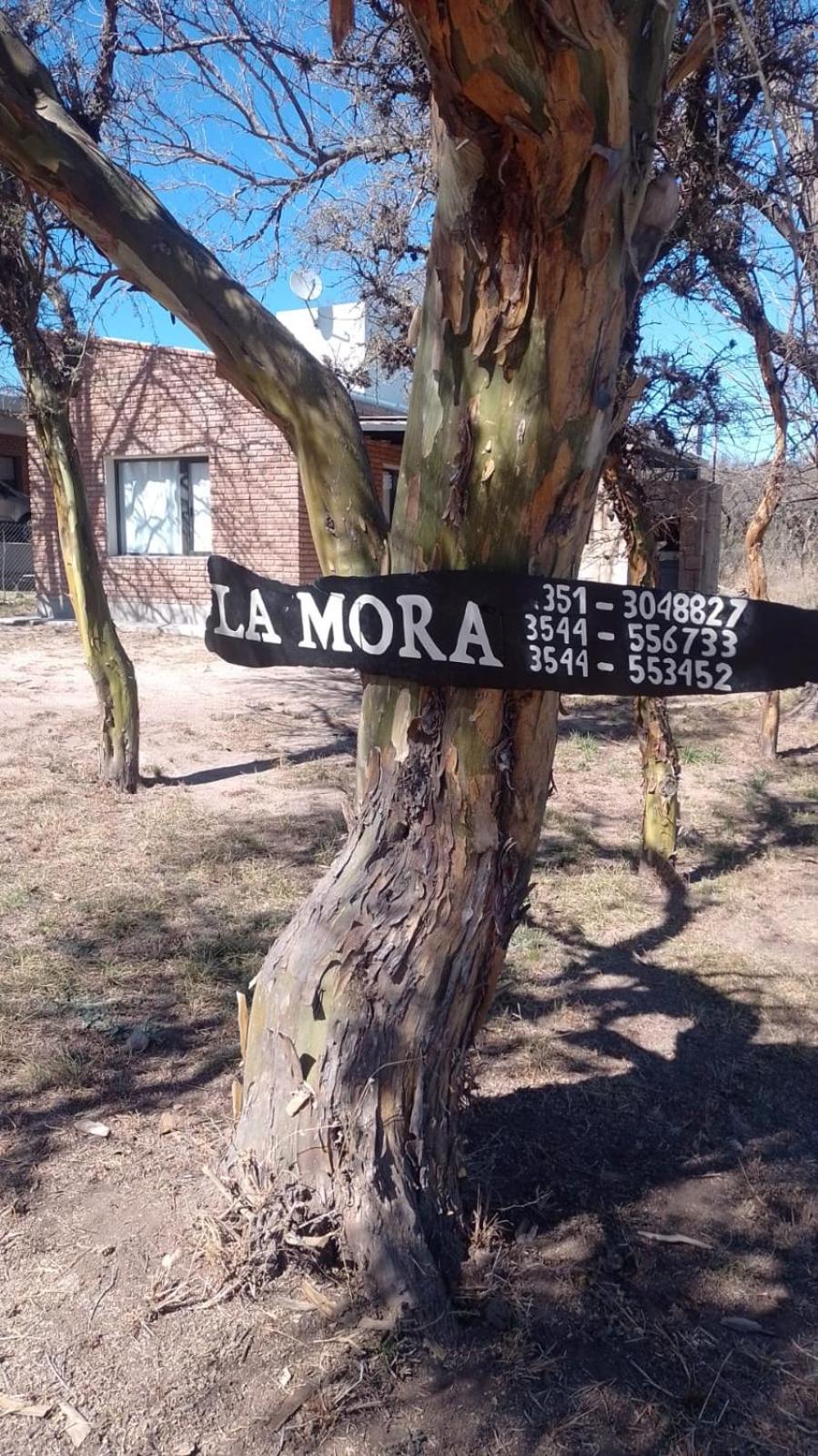 La More