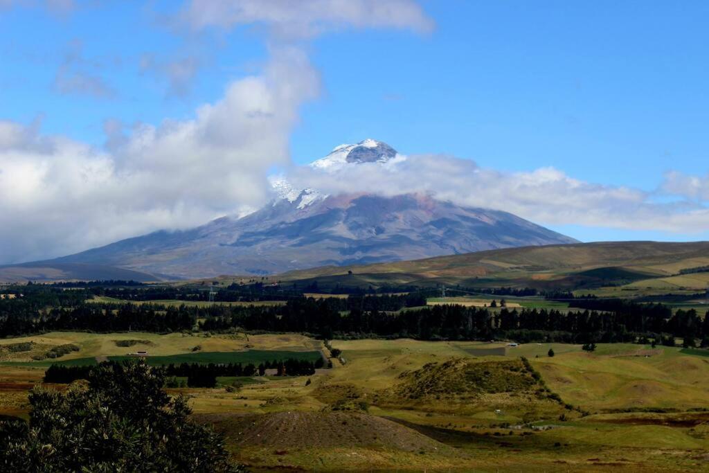 Exclusive Luxury Studio in the Heart of Quito