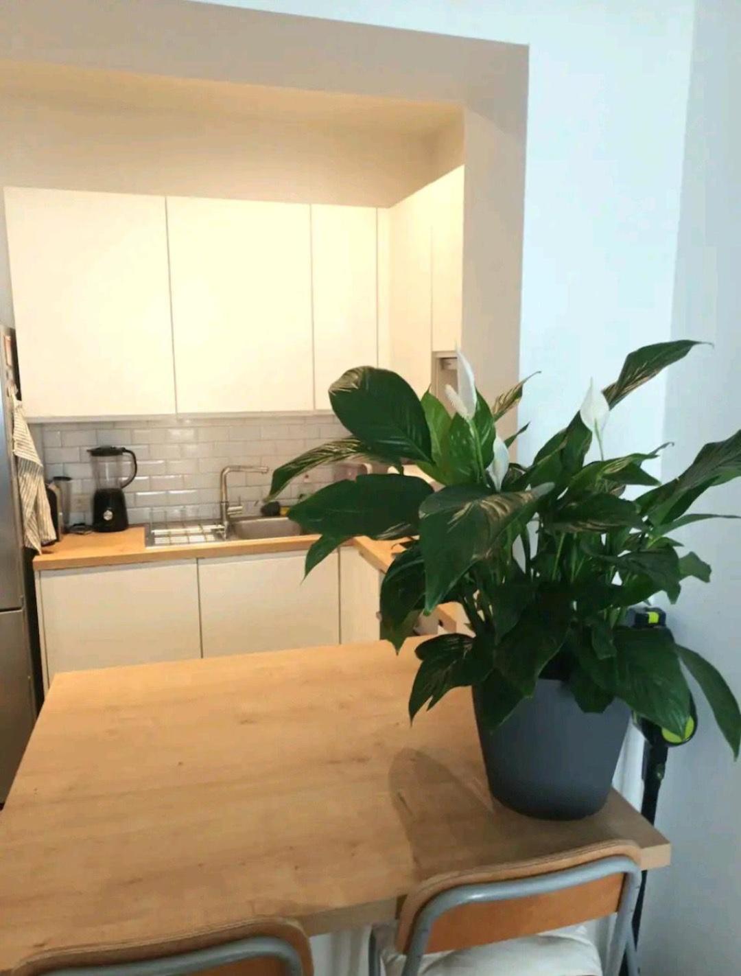 Beautiful 2 bedroom apartment in Place Flagey bxl