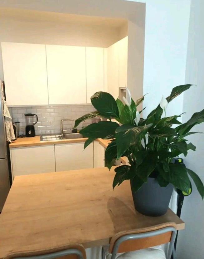 Beautiful 2 bedroom apartment in Place Flagey bxl
