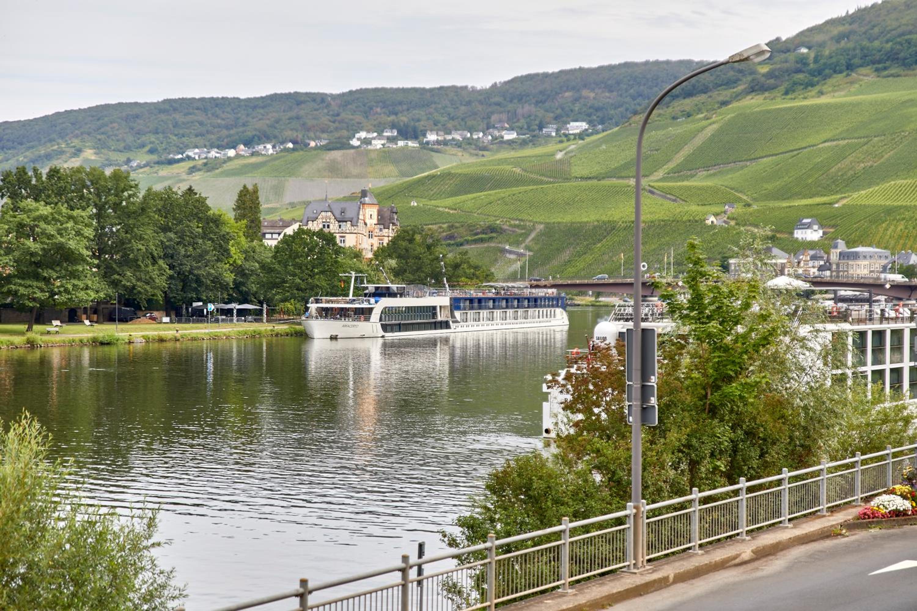 Moselblick