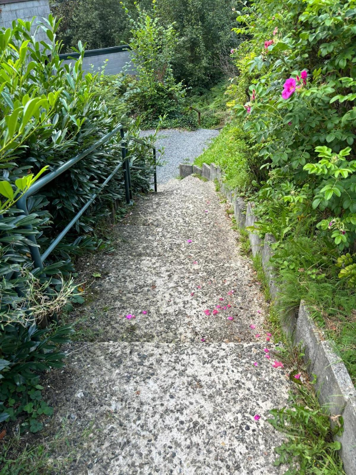 Le Vieux Sart 14 Coo - Stavelot