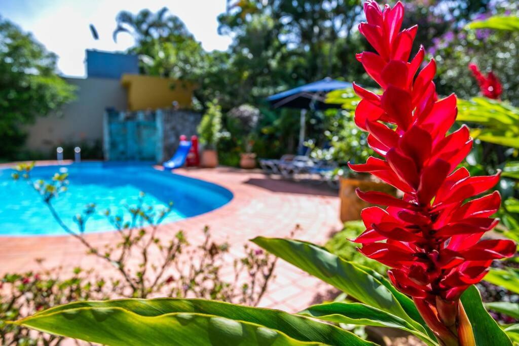 Casa maravilhosa c piscina, jardim, churrasqueira