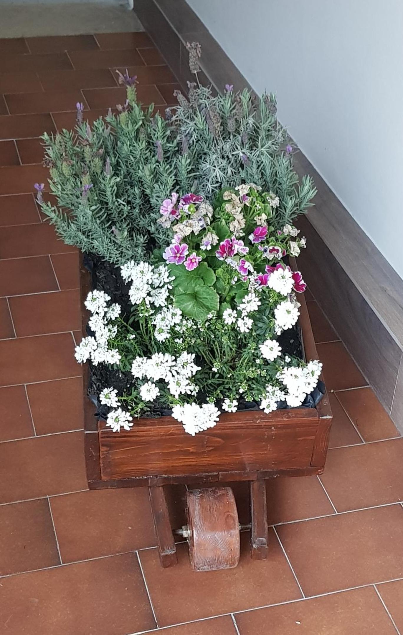 Photo 23