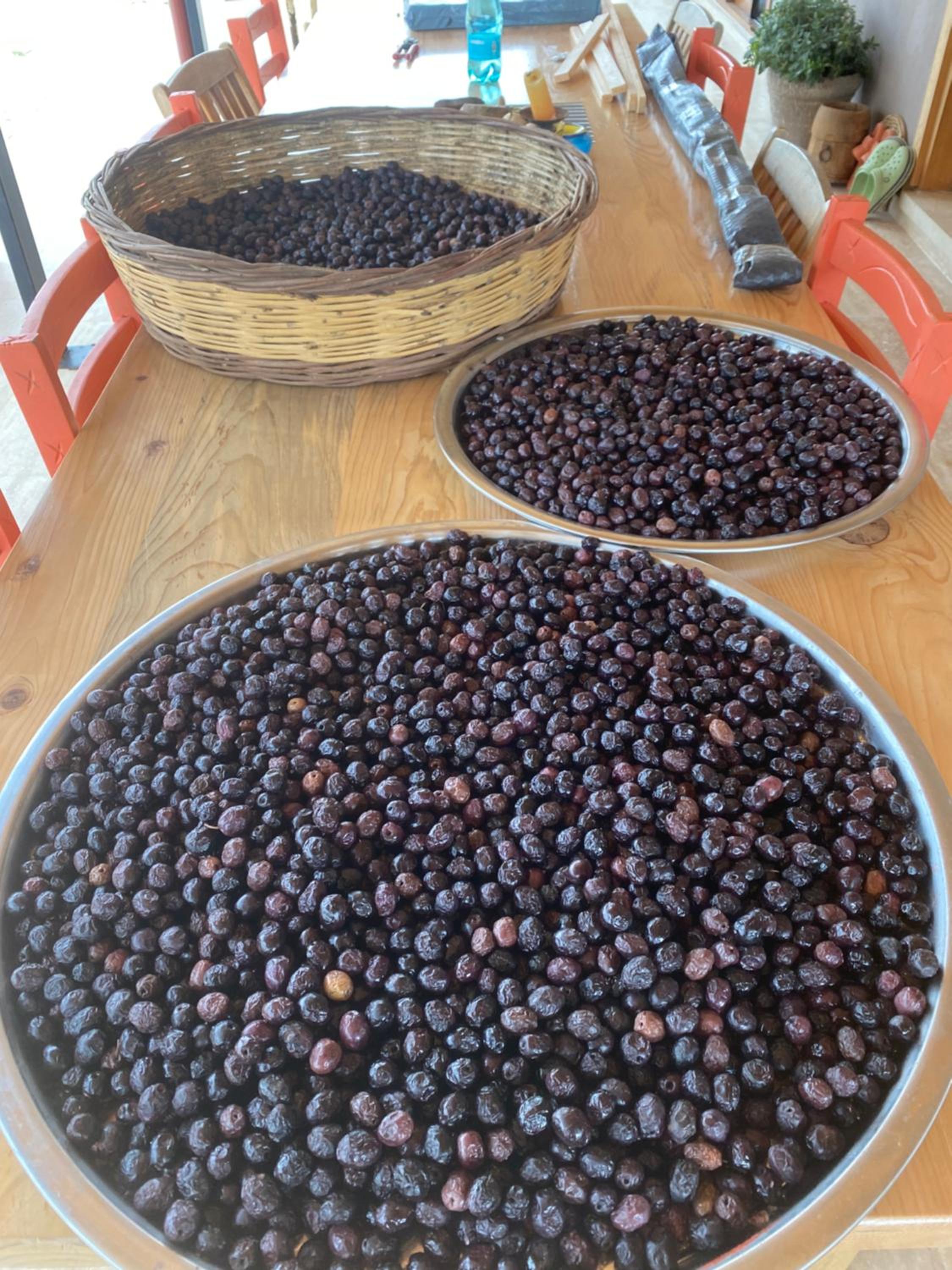 Kuş Tüneği