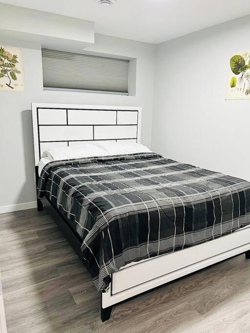 Alex's cozy abode