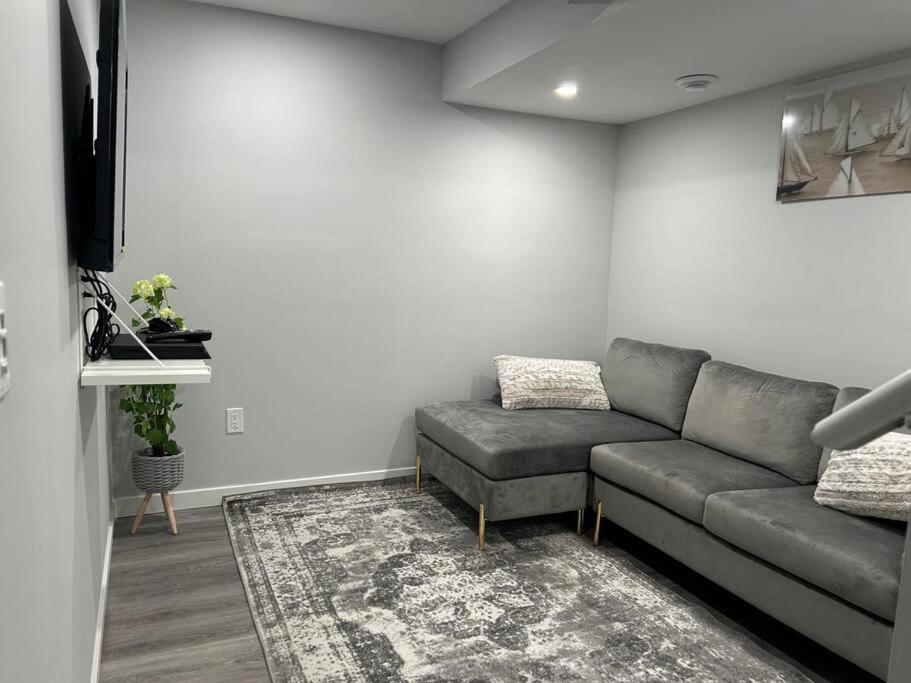 Alex's cozy abode