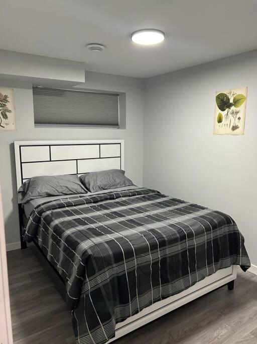 Alex's cozy abode