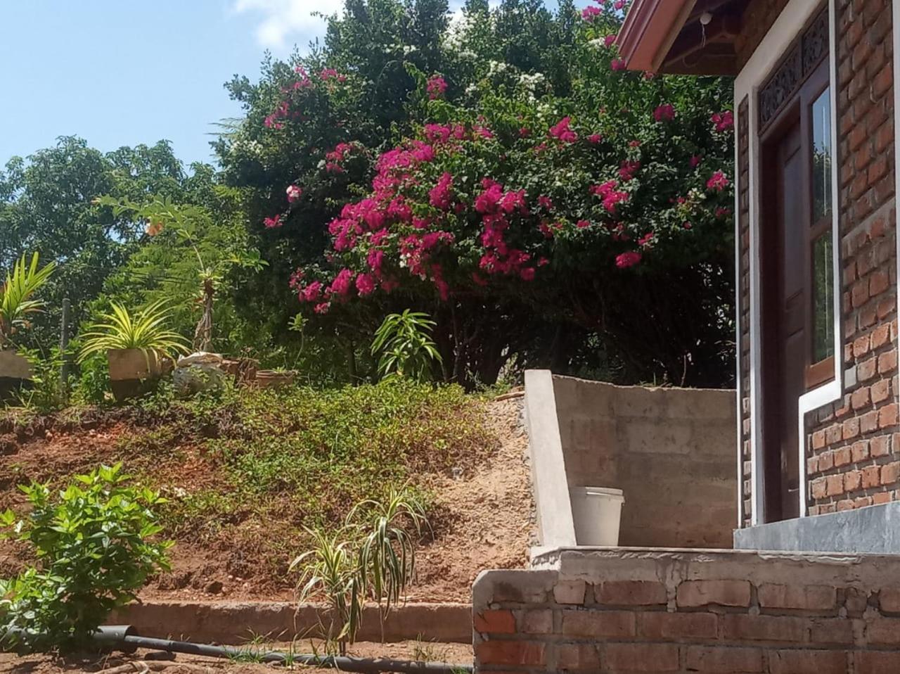 Rock Villa Relax City Resort view 2