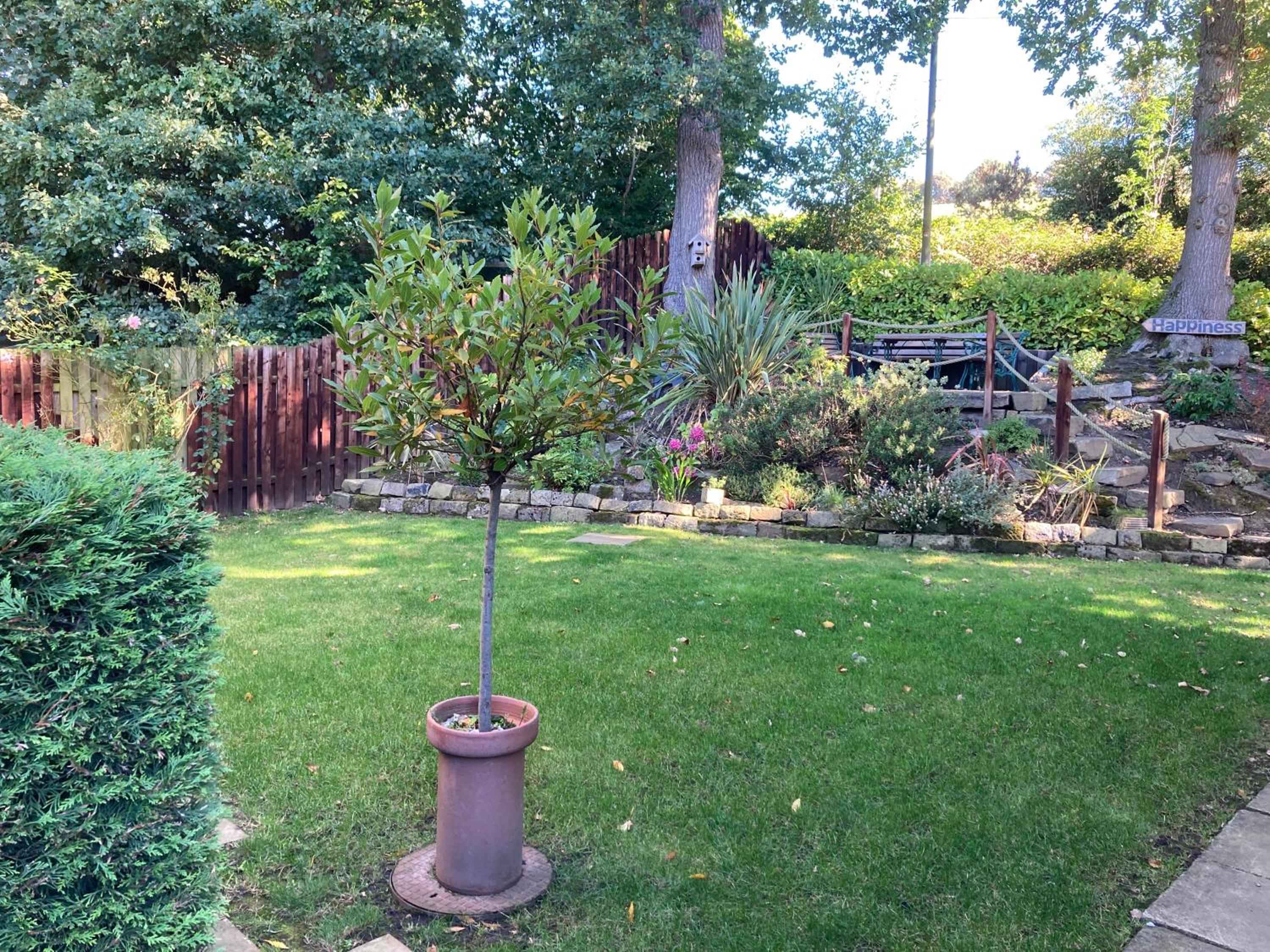 Photo 23