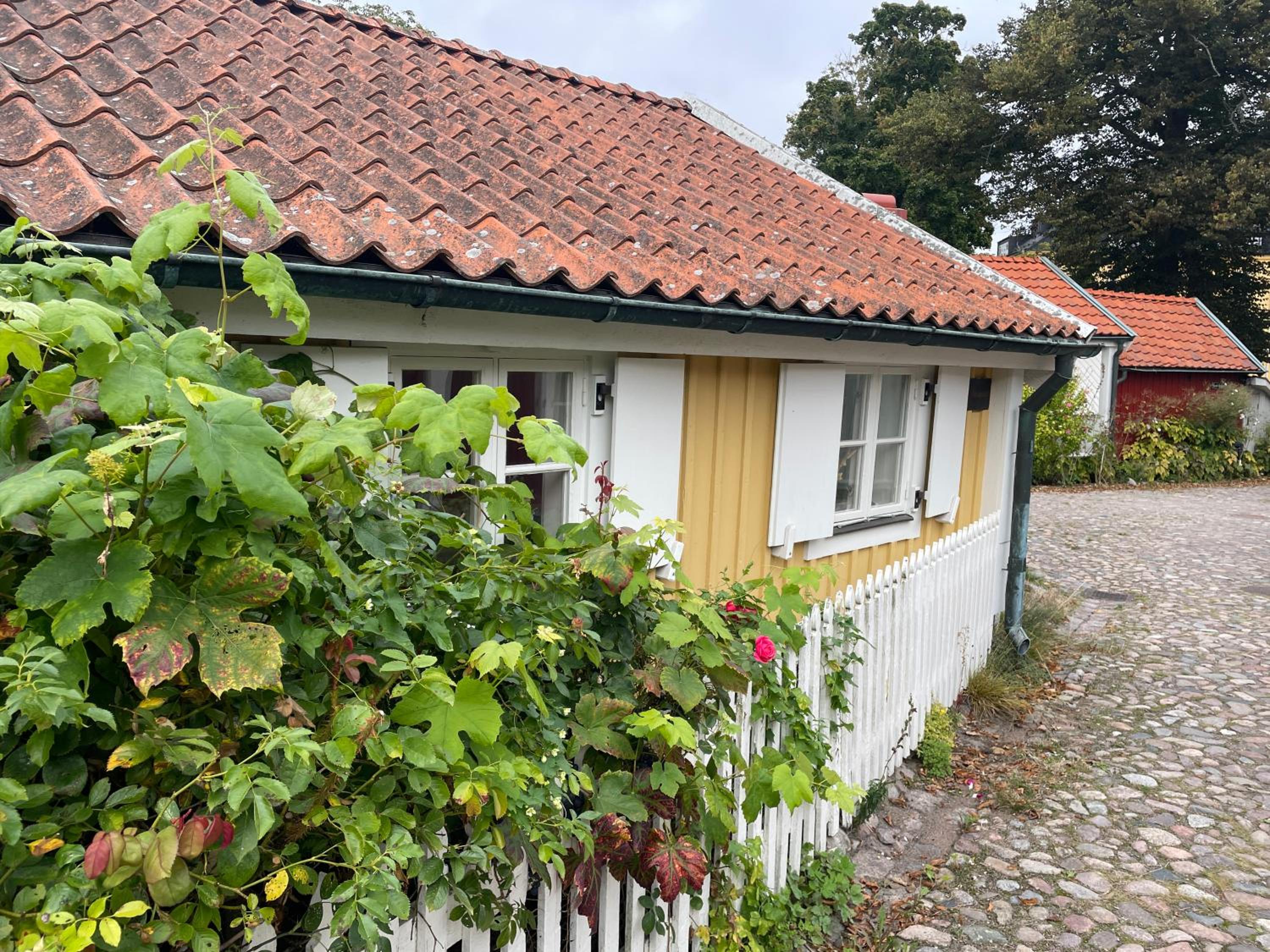 Photo 20