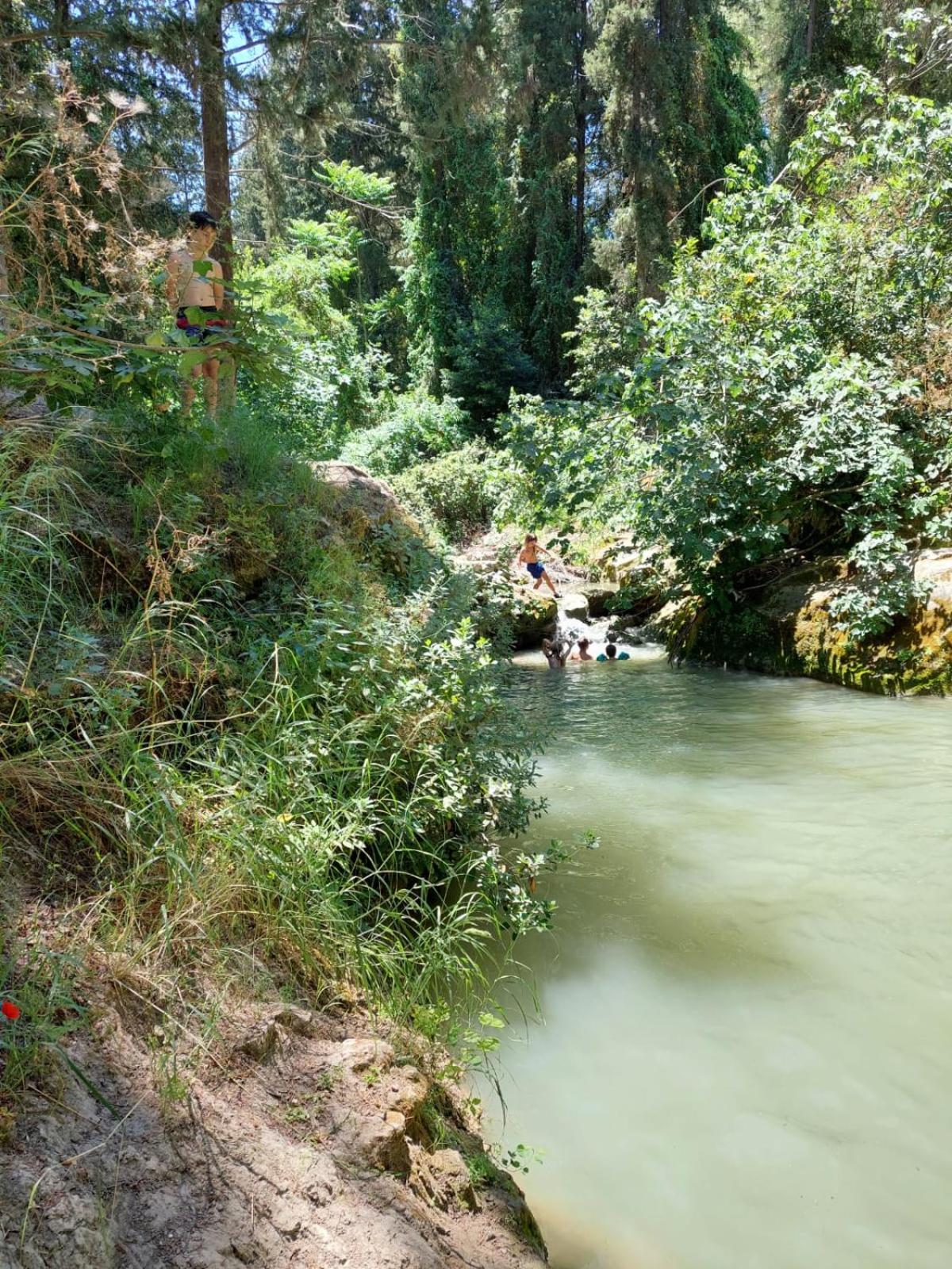 Photo 15