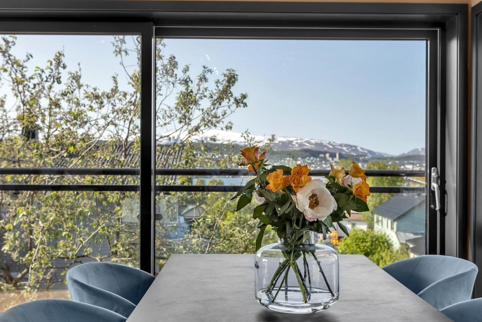 Borealis Luxury Suite