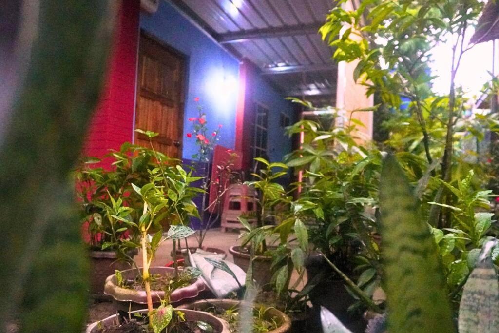 Kiansom Homestay - Waterfall etc