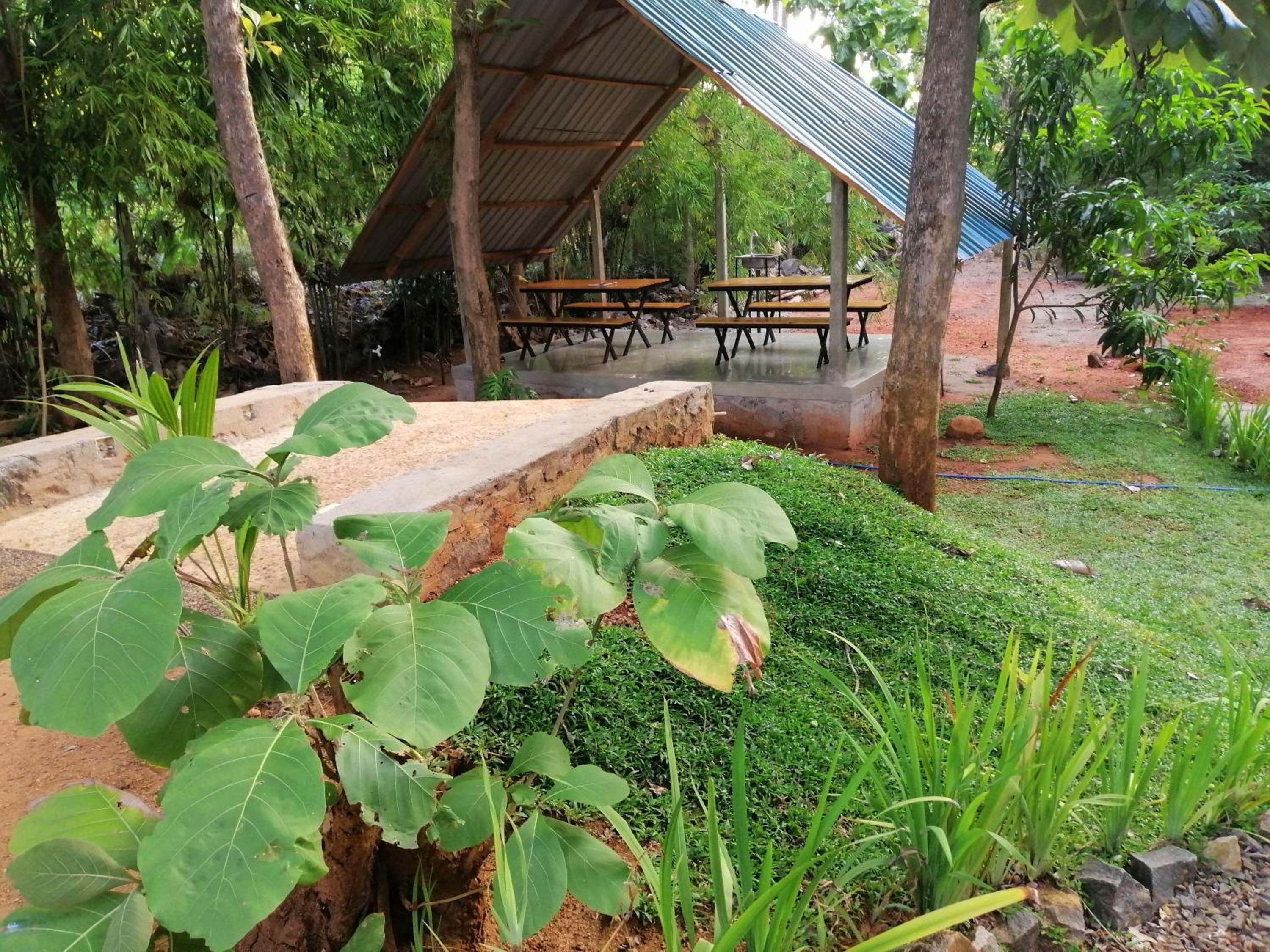 Photo 8
