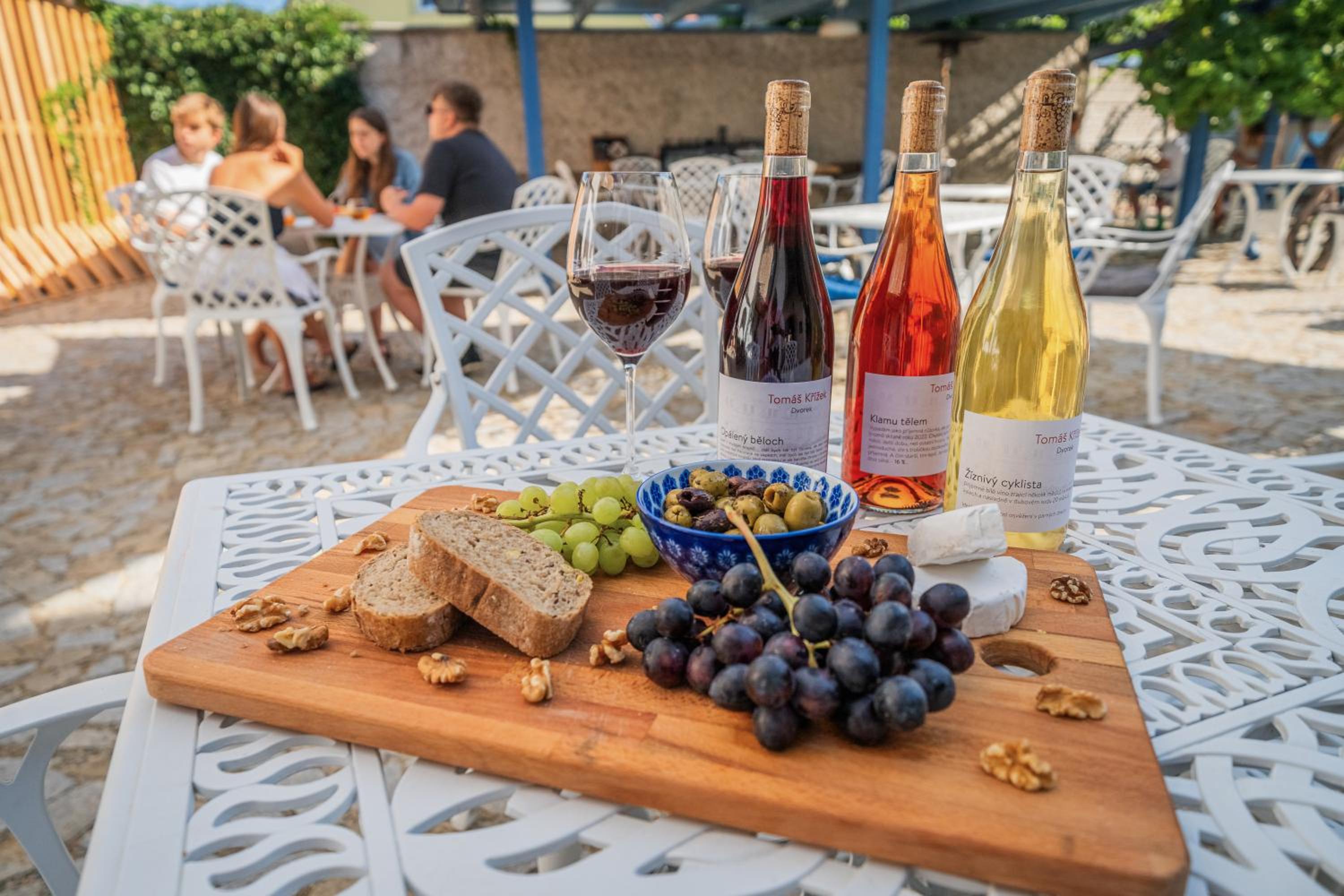 Naturální vinařství DVOREK - Penzion, Bistro & Wellness