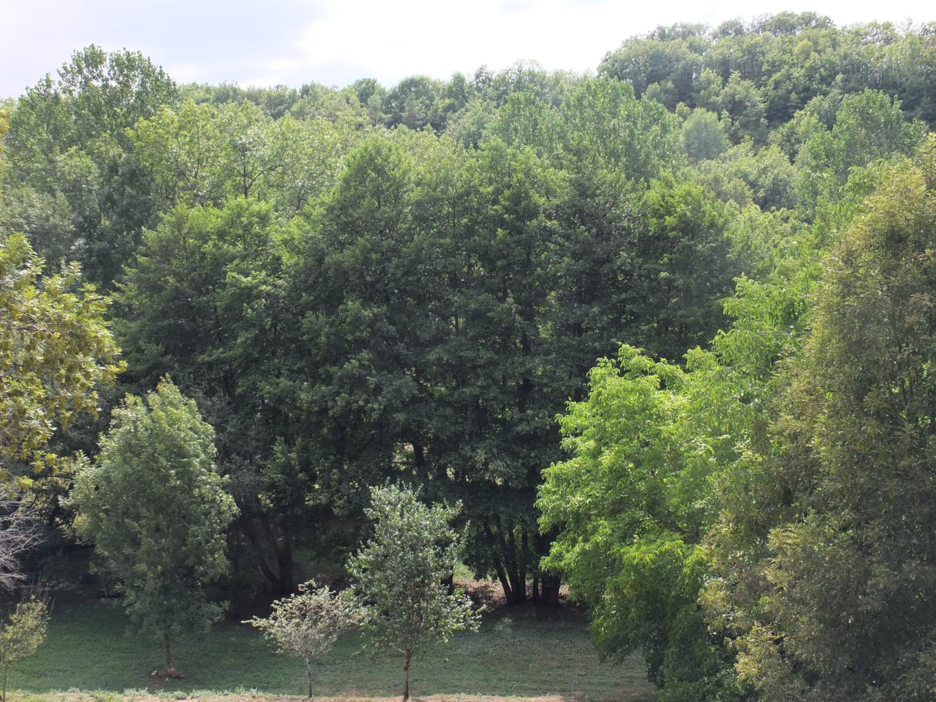 Le Chemin des sens view 5