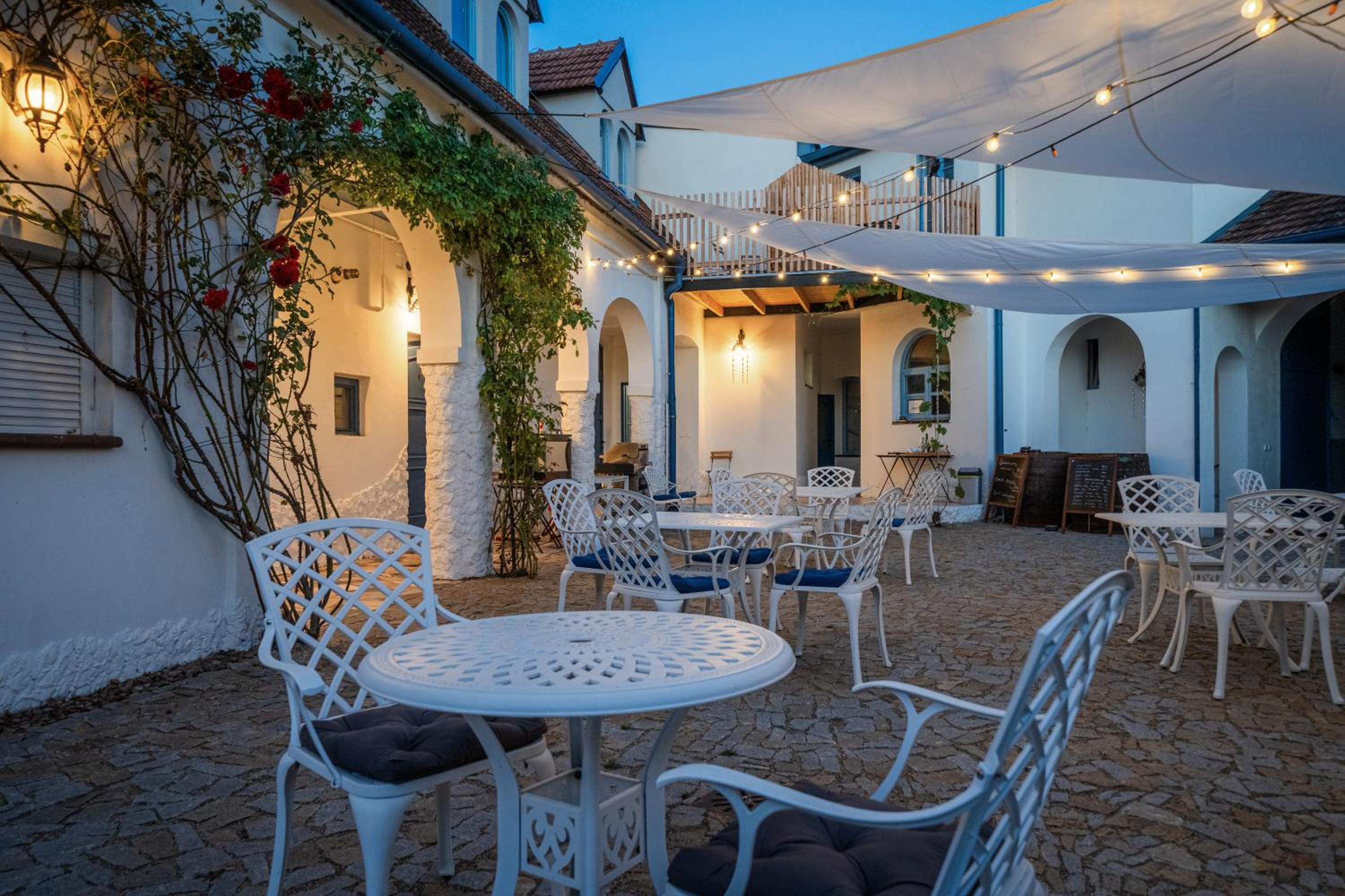 Naturální vinařství DVOREK - Penzion, Bistro & Wellness