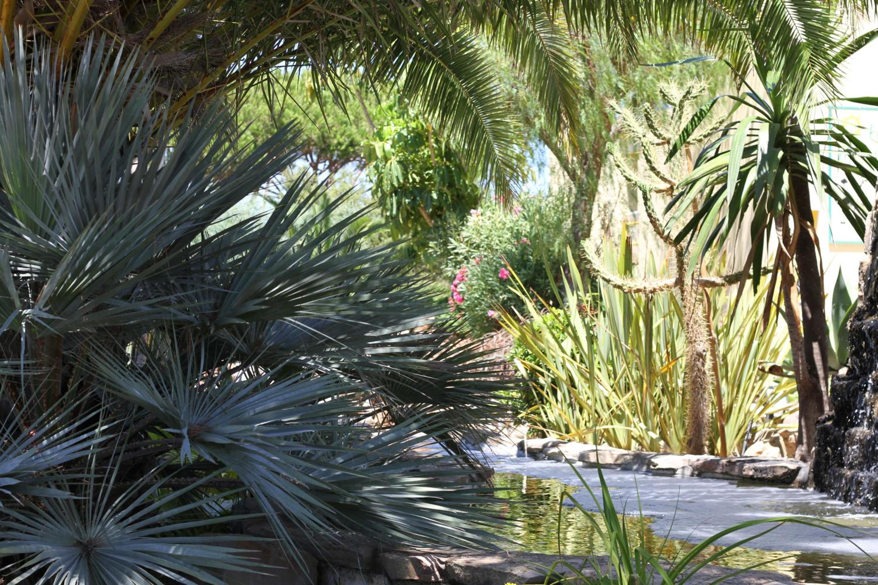 Quarteira Vacations - Hotel Pinhal do Sol - Property Image 50