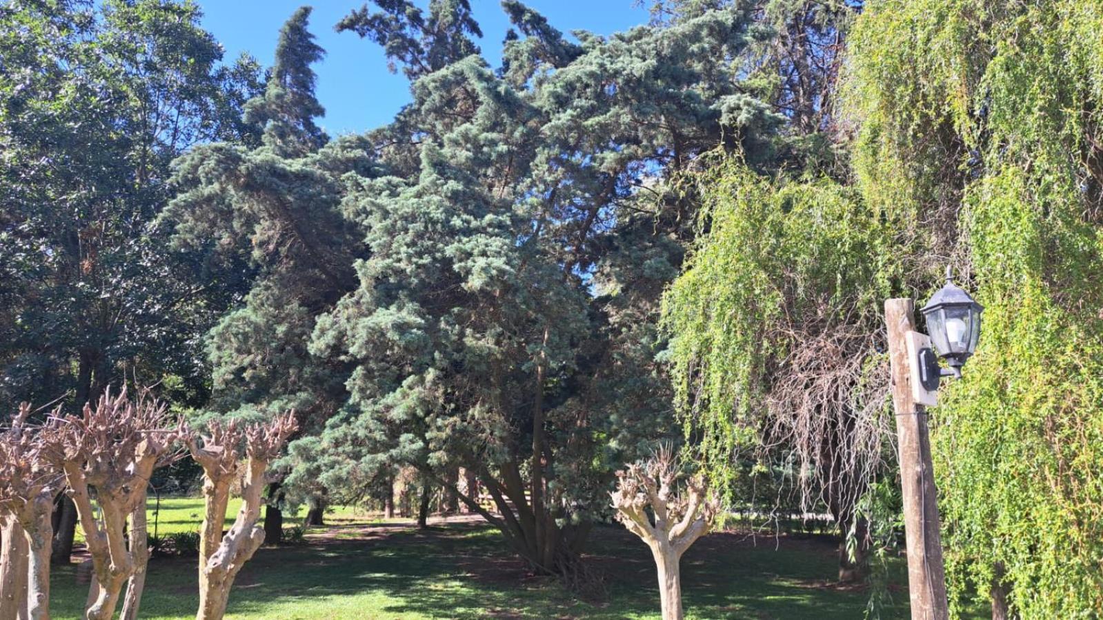 Quinta Pinar de Robles