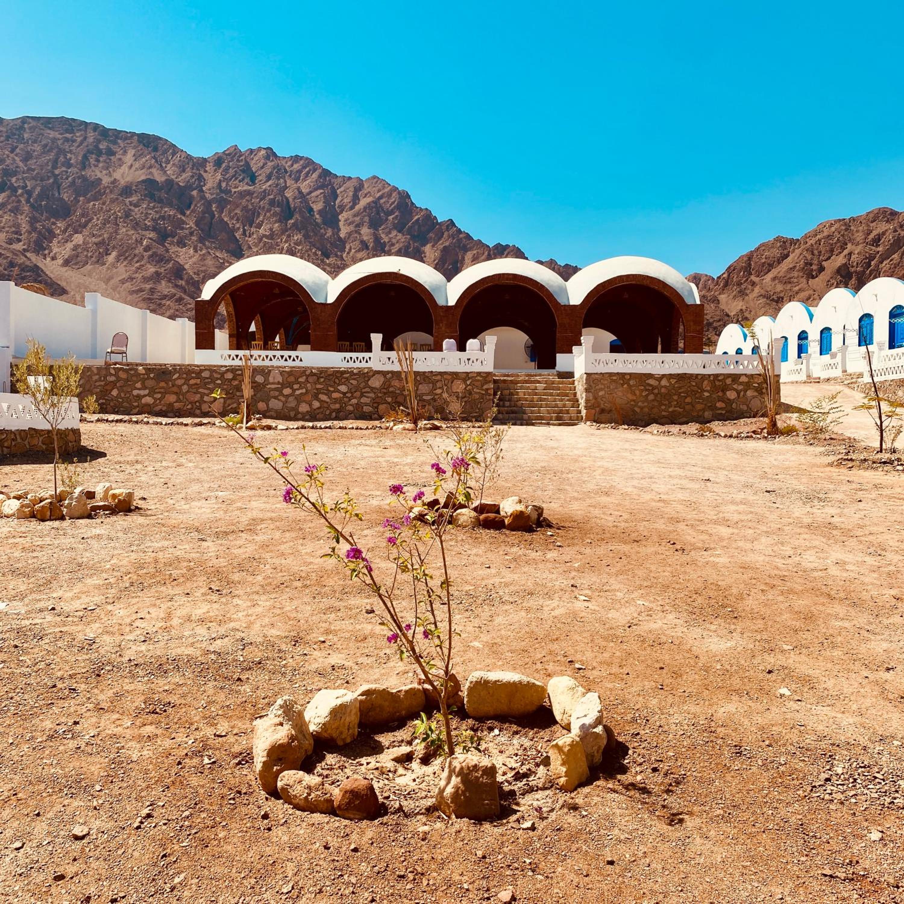 Palma Beach Camp