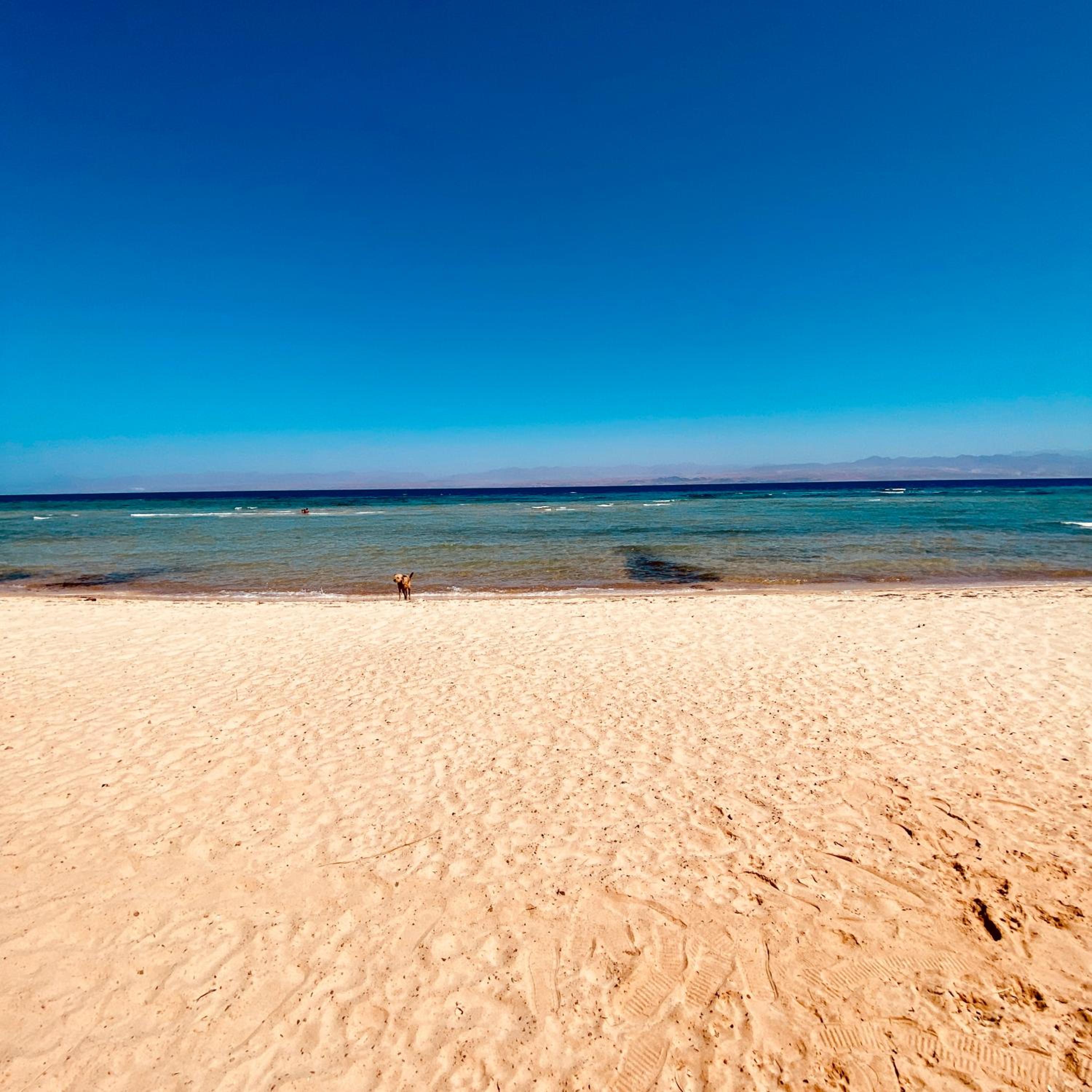 Palma Beach Camp